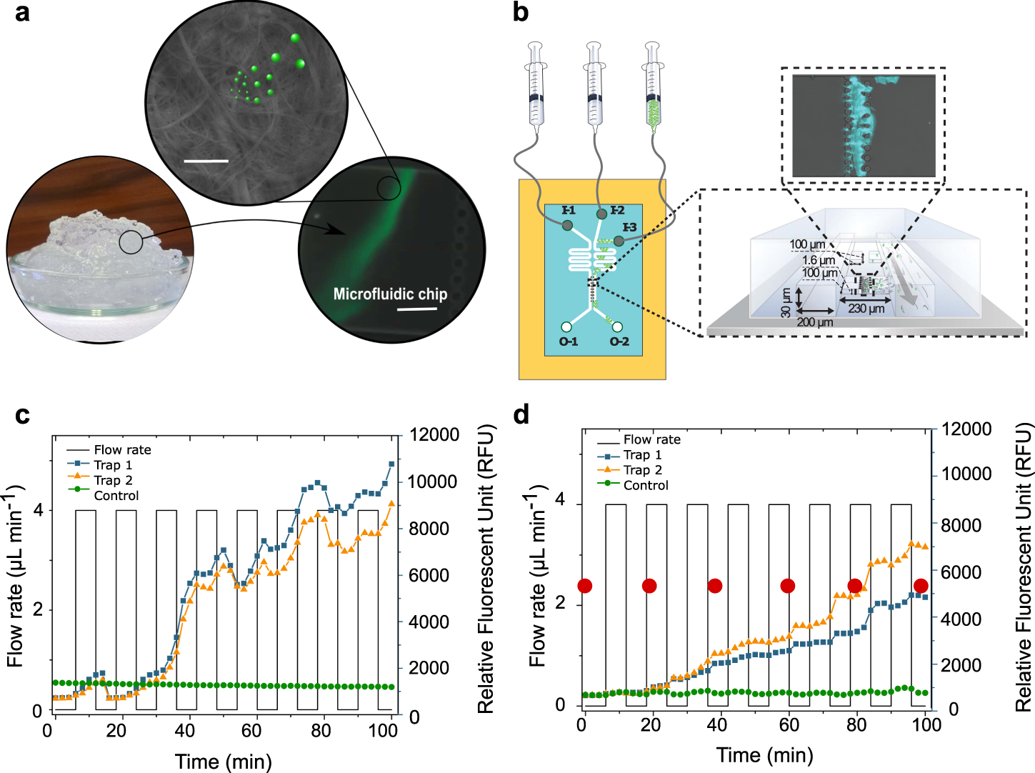 Capturing colloidal nano- and microplastics with plant-based nanocellulose  networks | Nature Communications