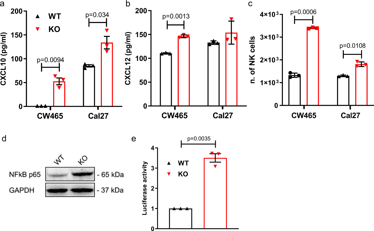Fig. 4: Secretion of CXCL10 and CXCL12 from CHMP2A-KO tumor cells increases NK cell migration.