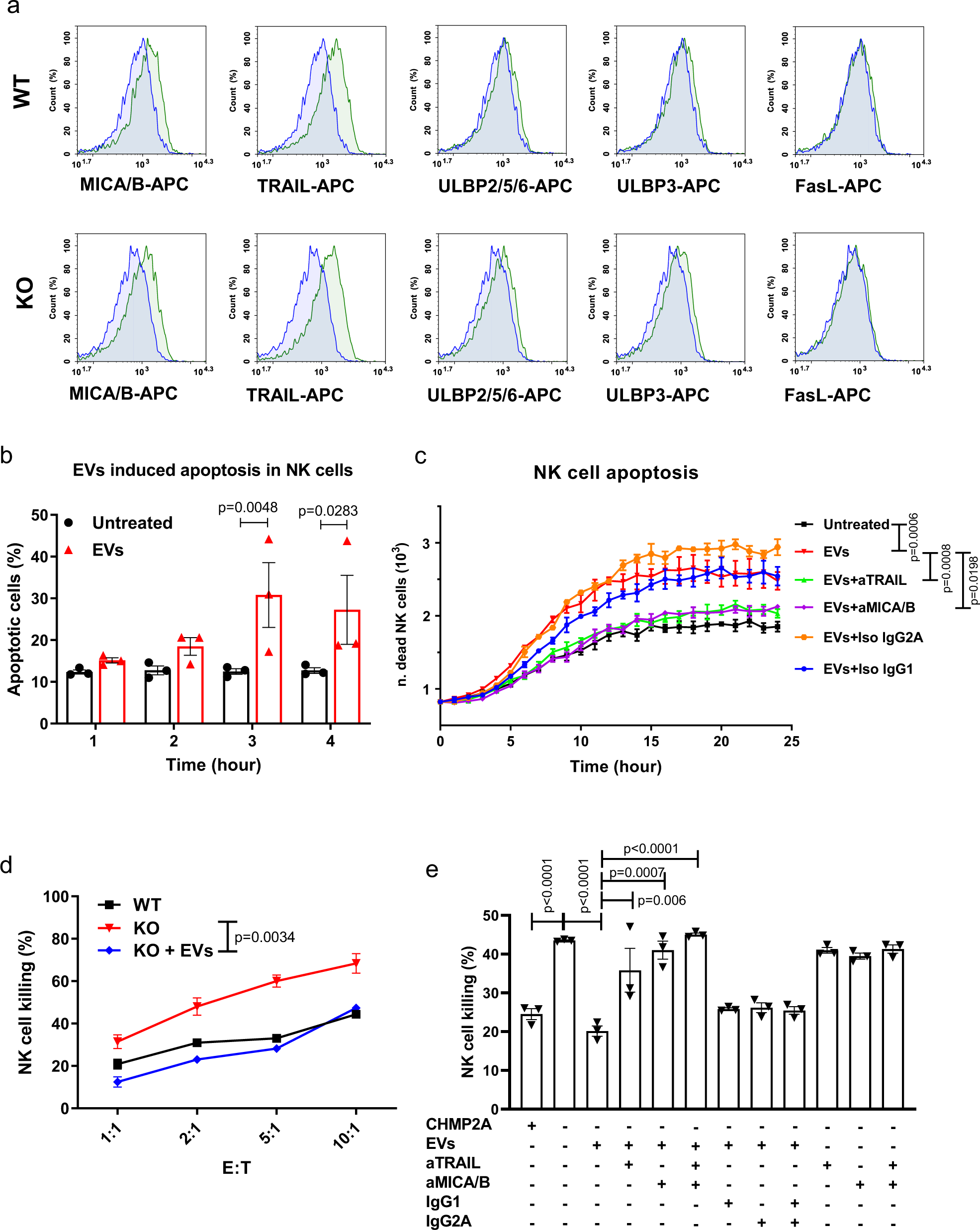 Fig. 6: EVs secreted by Cal27 induce apoptosis in NK cells.