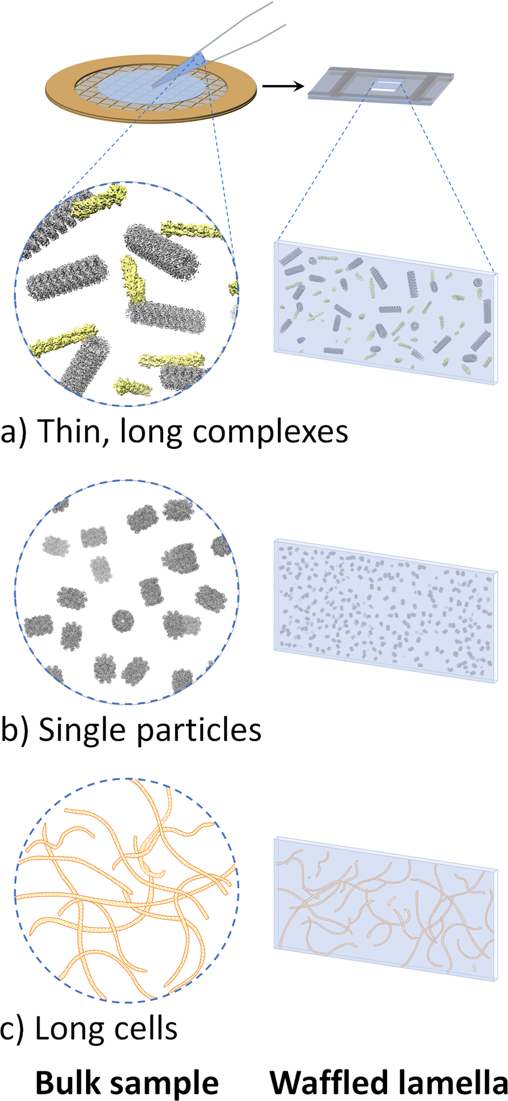Fig. 5: Additional potential issues that the Waffle Method may rectify.
