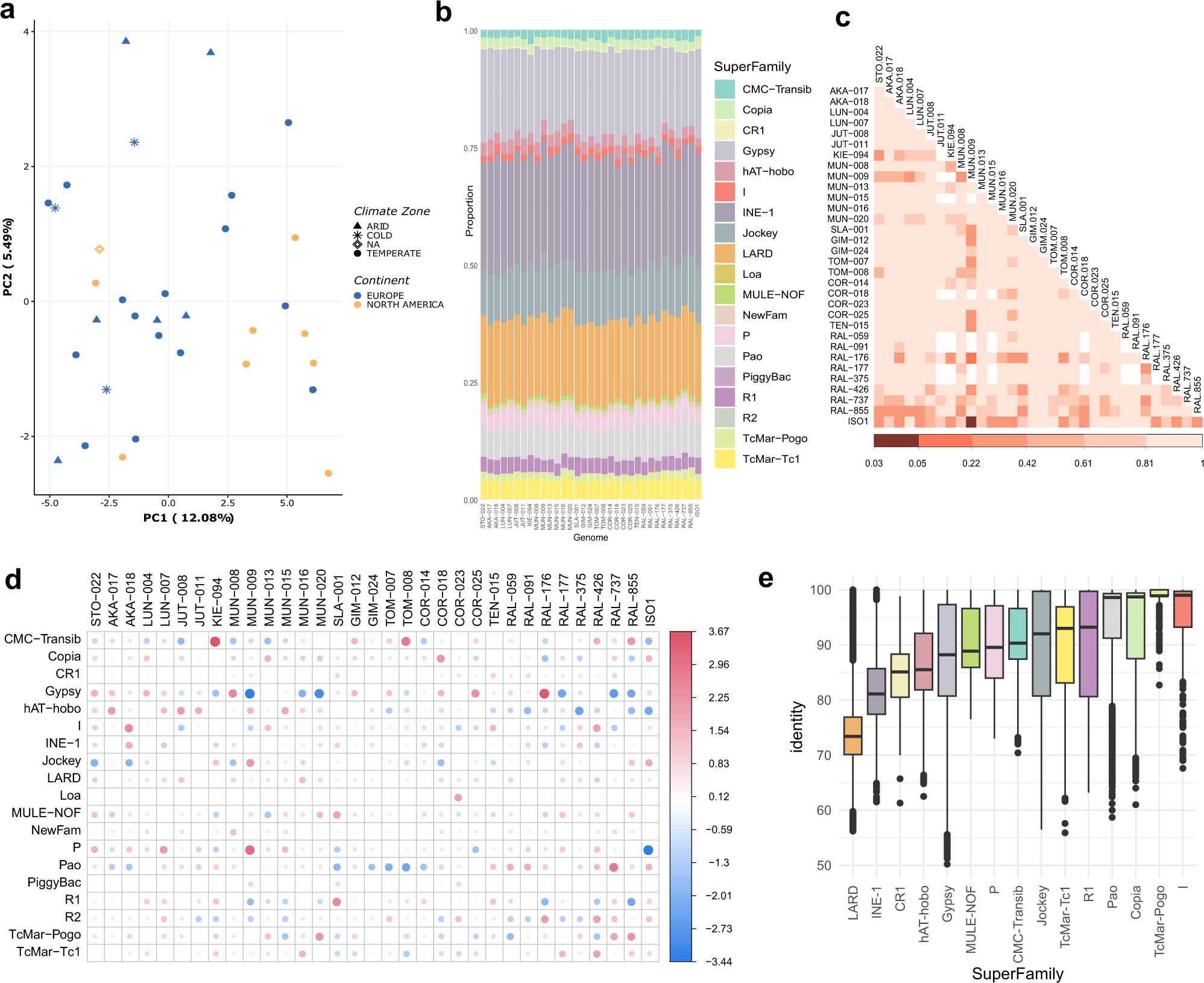 Fig. 4: TE annotations at the superfamily level.