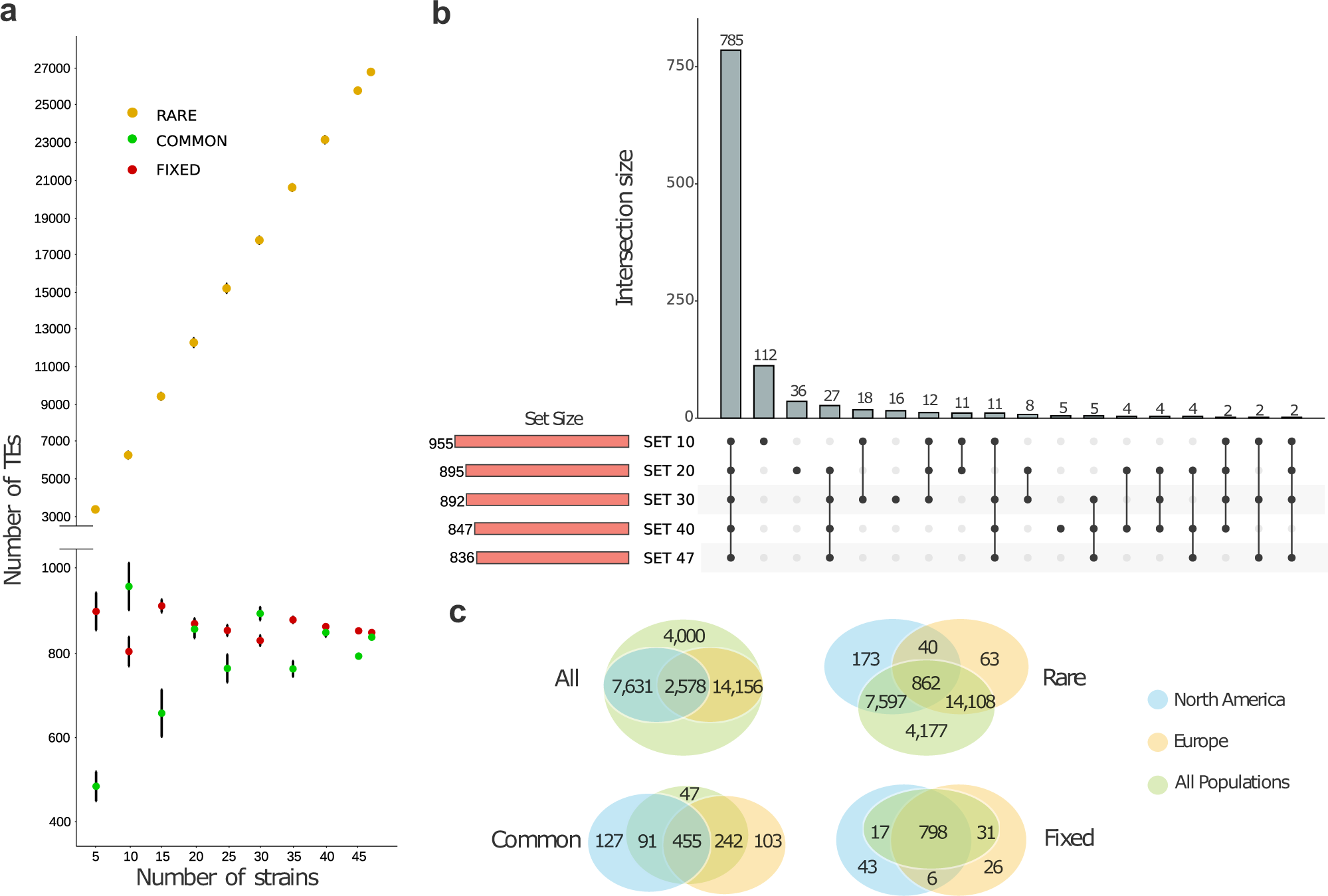 Fig. 5: TE classification according to three frequency classes: rare (present in <10 of the strains), common (present in ≥10 and ≤95% of the strains) and fixed (present in >95% of the strains).