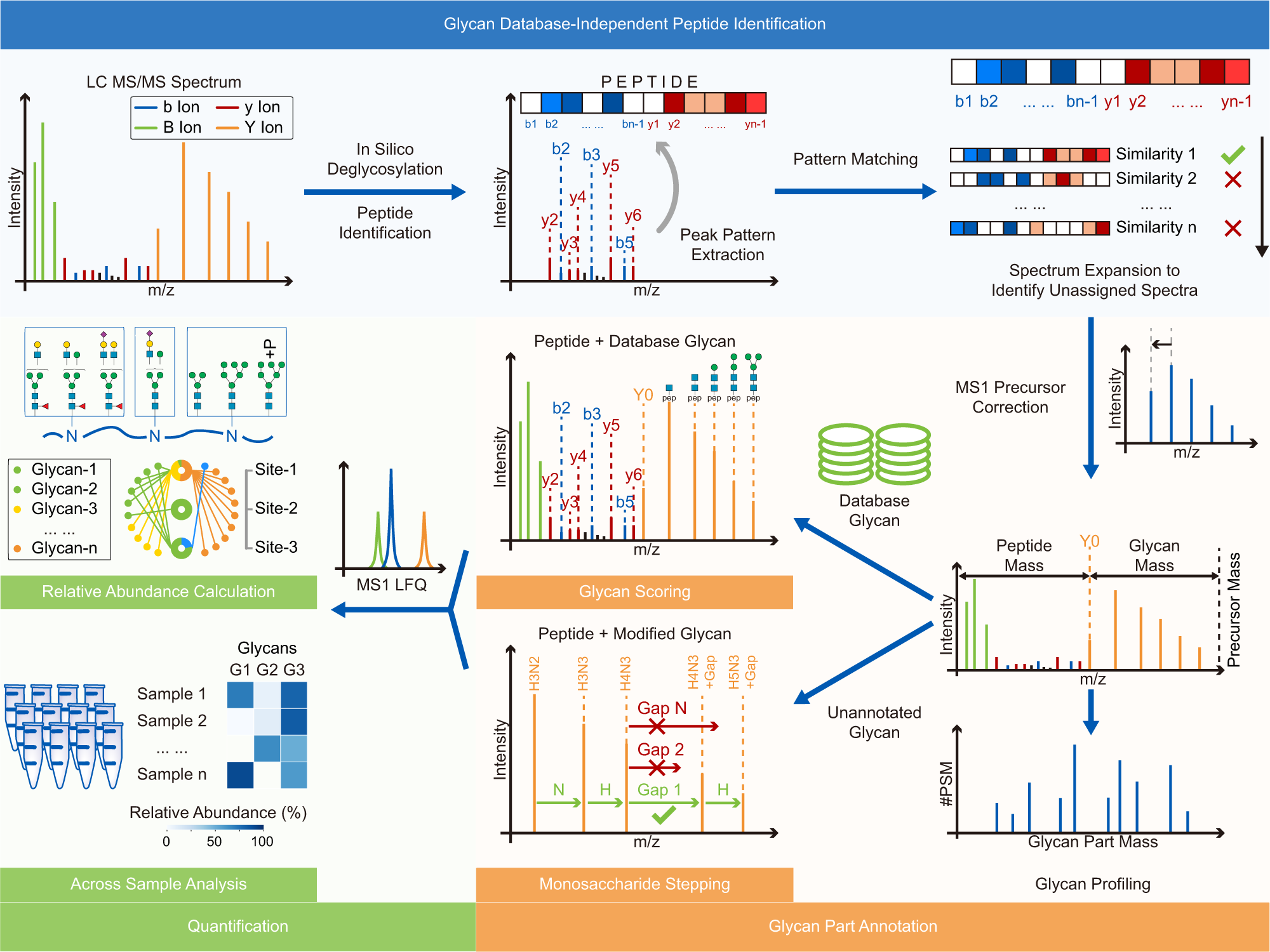 Glyco-Decipher enables glycan database-independent peptide matching and  in-depth characterization of site-specific N-glycosylation | Nature  Communications