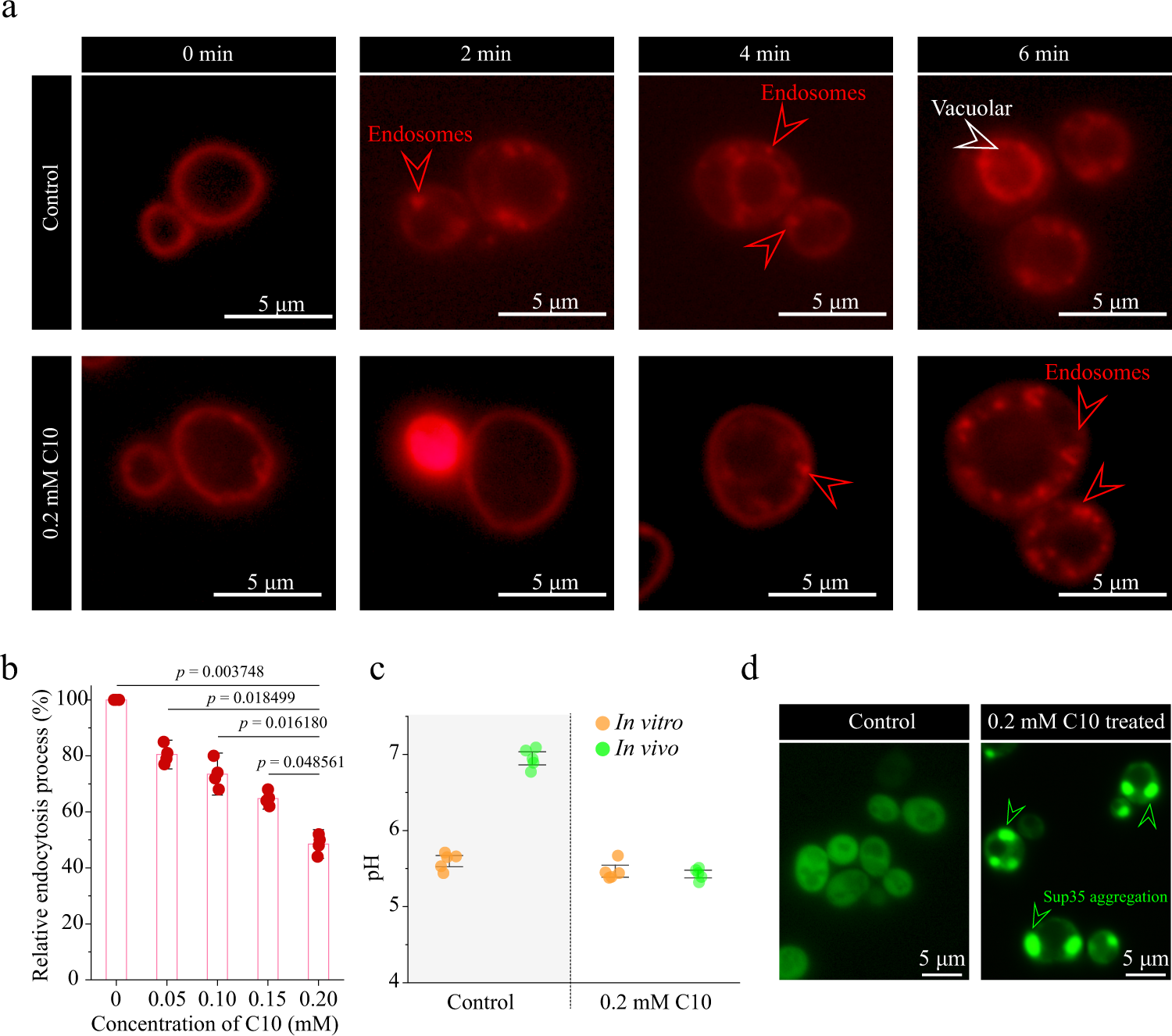 Fig. 2: Decanoic acid damage stabilization of pHi of S. cerevisiae.