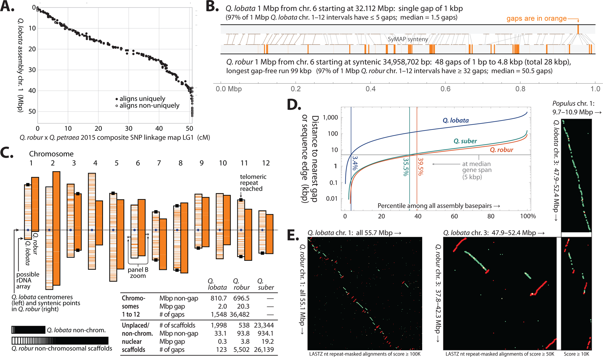 High-quality genome and methylomes illustrate features ...