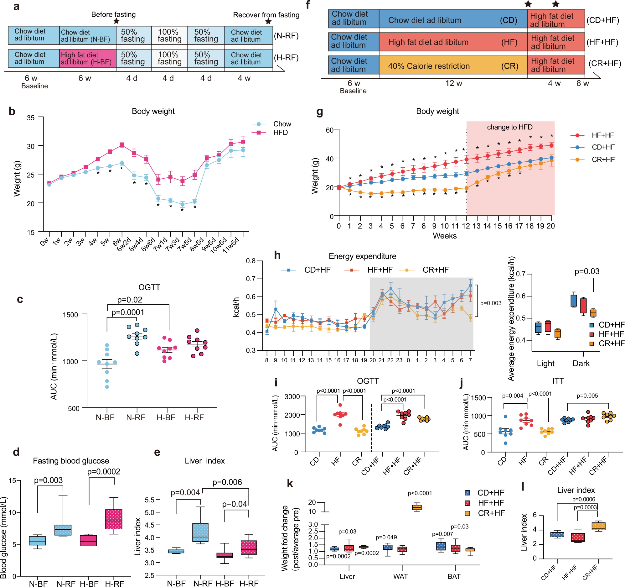 Gut microbiota-bile acid crosstalk contributes to the rebound weight gain  after calorie restriction in mice | Nature Communications