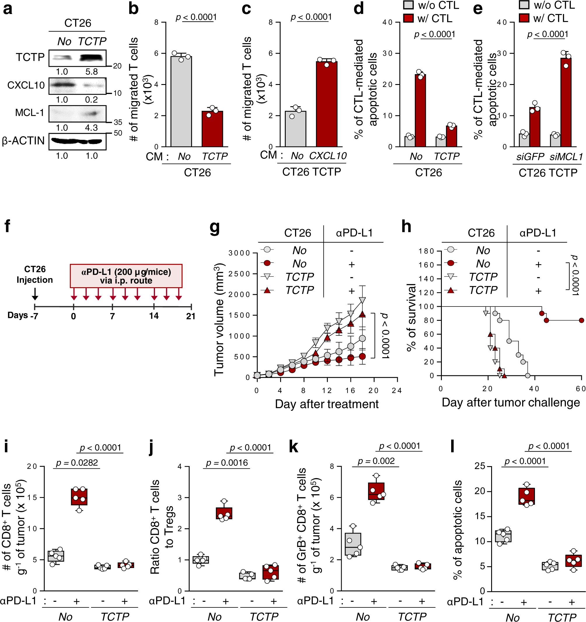 Fig. 3: Overexpression of TCTP changes the properties of tumor cells to those of an immune-refractory tumor.