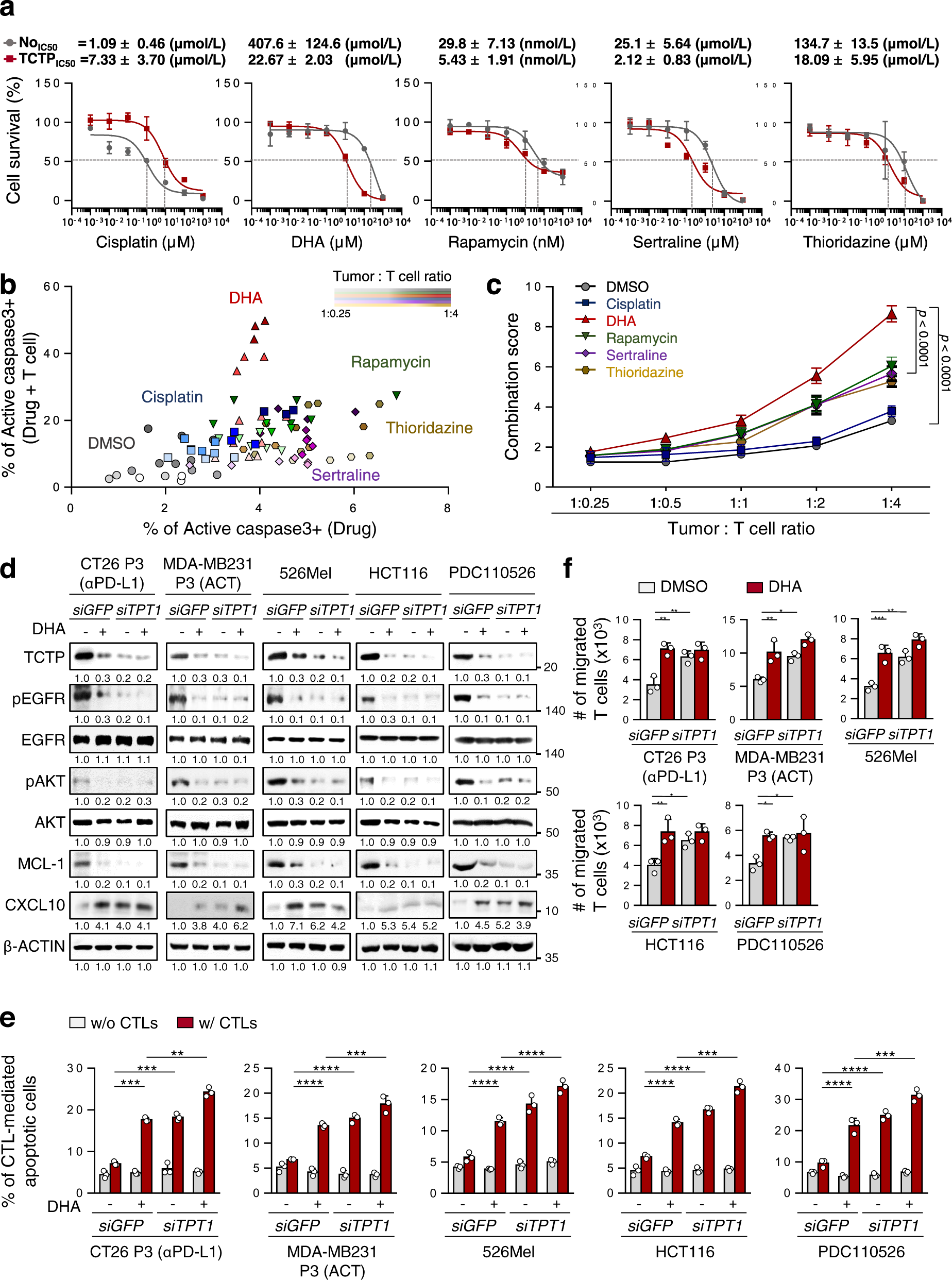 Fig. 6: Inhibition of TCTP by DHA sensitizes TCTPhigh tumor cells to T cell-mediated killing and increases T cell migration.