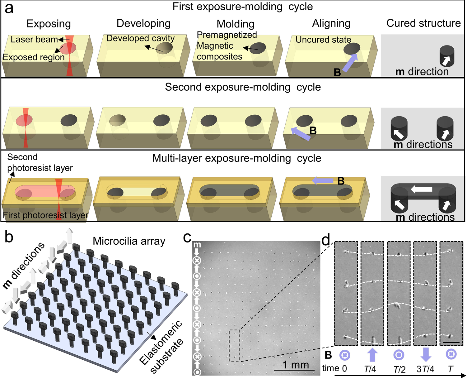 Creating three-dimensional magnetic functional microdevices via  molding-integrated direct laser writing | Nature Communications