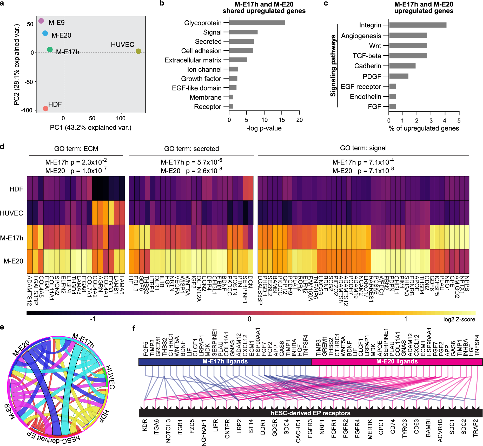 Fig. 3: Human pancreatic M-E17 and M-E20 cell transcriptomes are jointly enriched in secreted factors that have their receptors present in hESC-derived EPs.