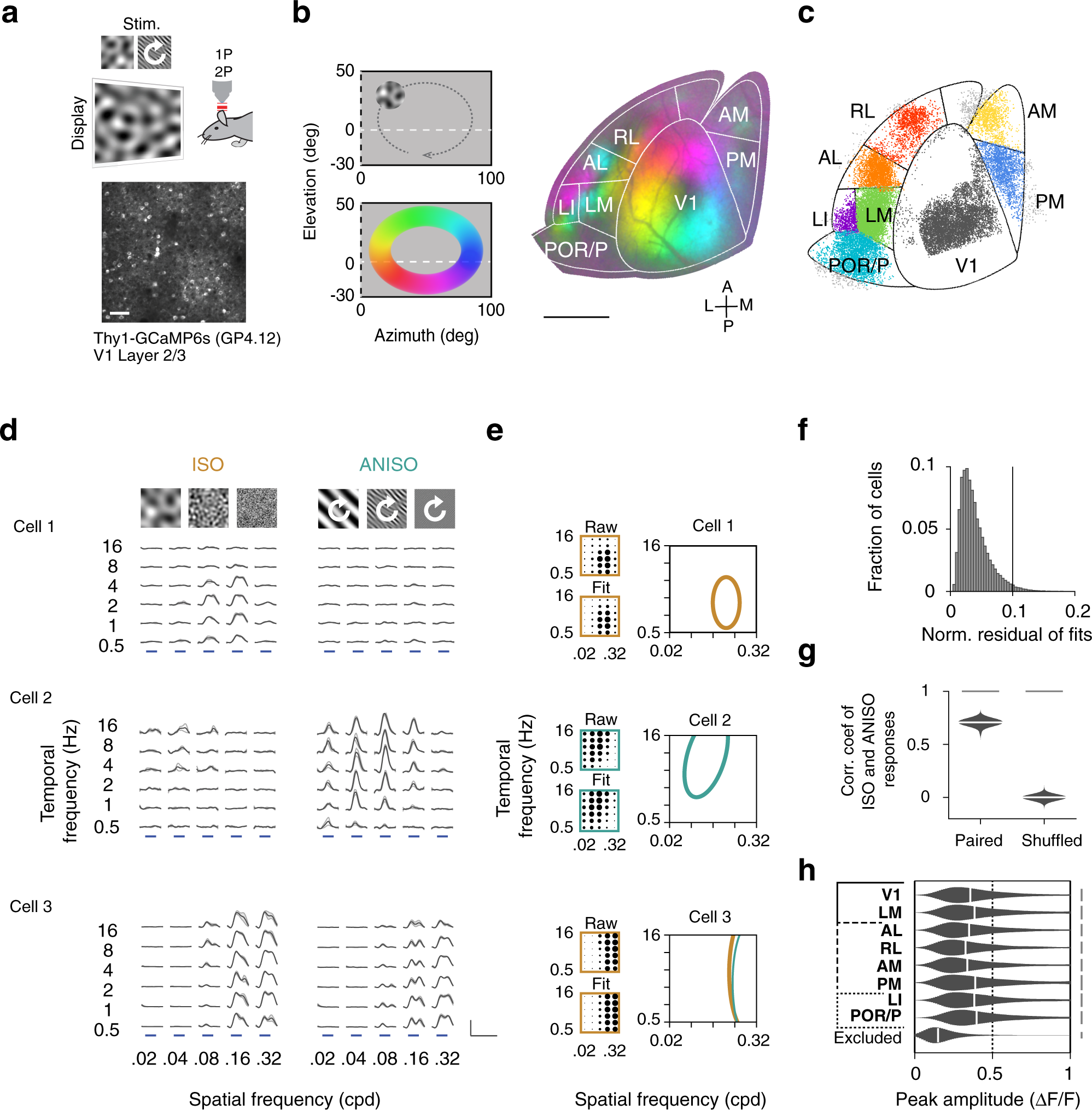 Diversity of spatiotemporal coding reveals specialized visual processing  streams in the mouse cortex | Nature Communications