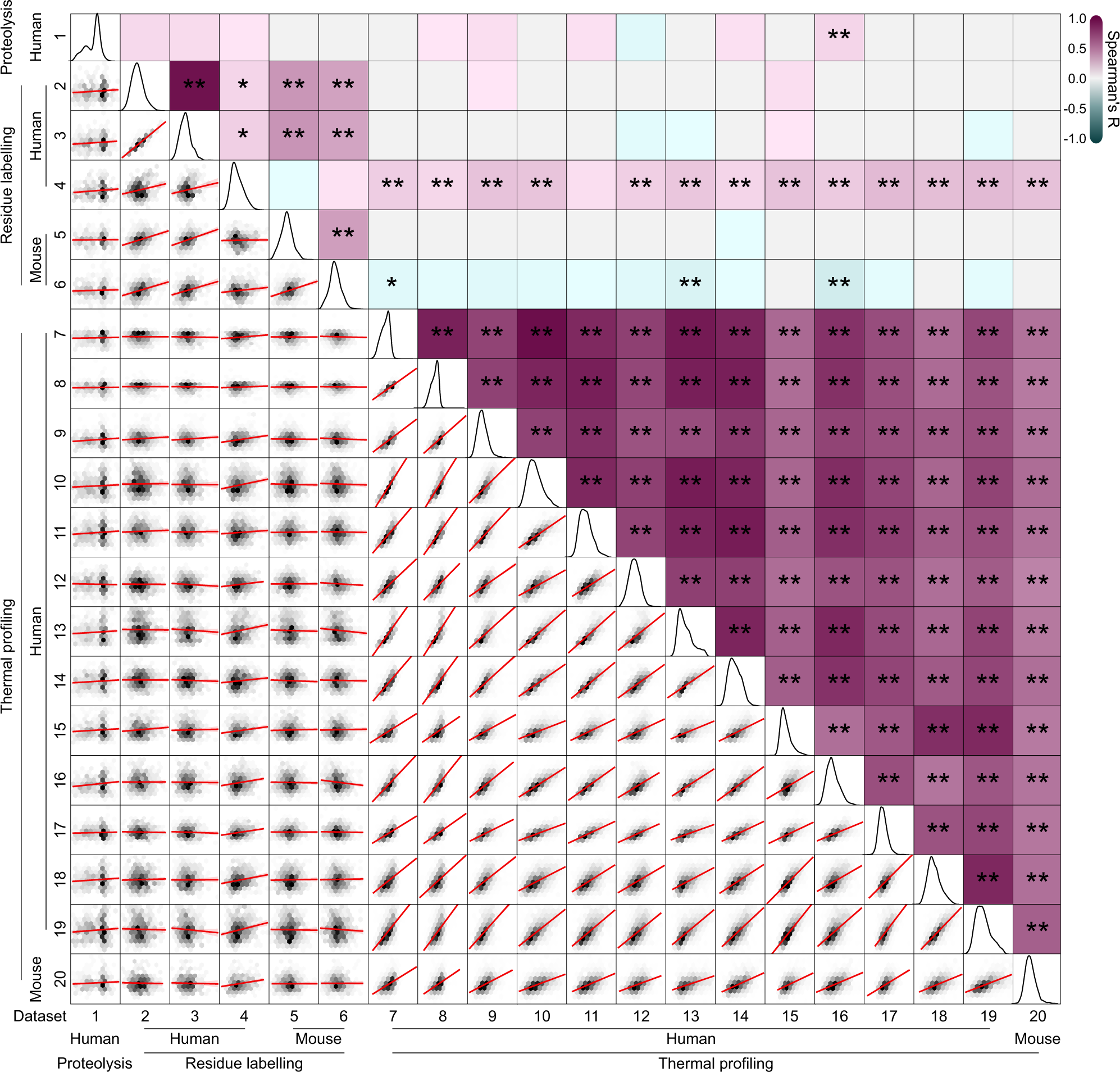 Protein folding stability measured at scale