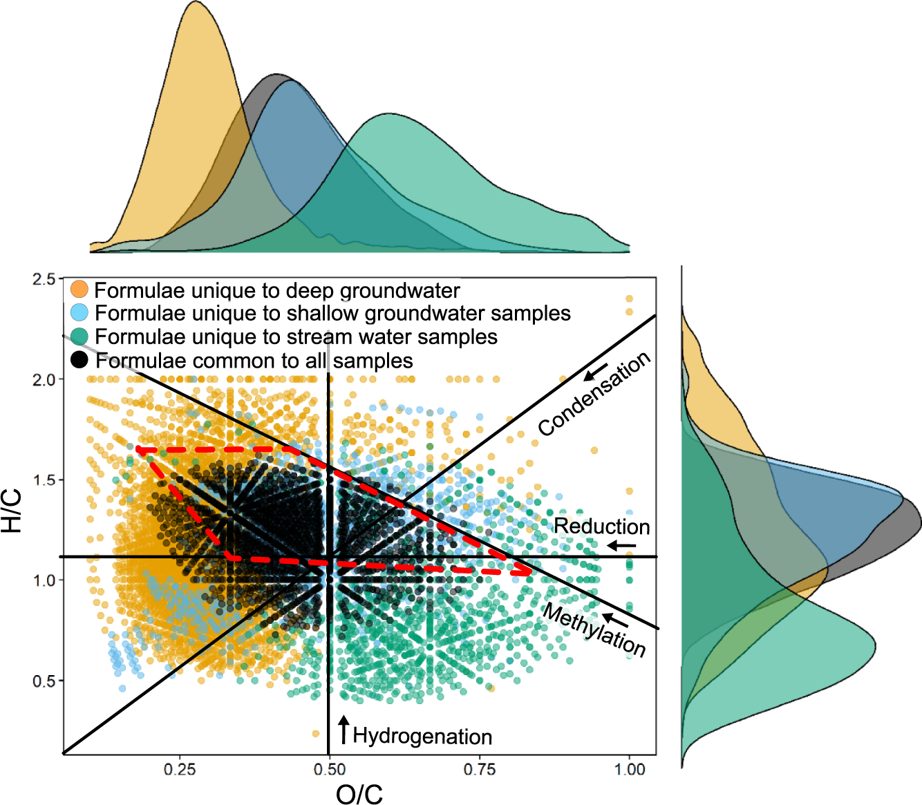 A new conceptual framework for the transformation of groundwater dissolved  organic matter