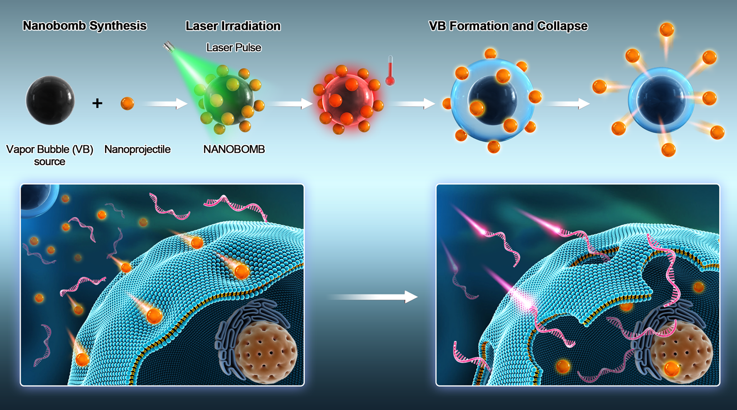Light Triggered Nanoscale Biolistics For Efficient Intracellular Delivery Of Functional Macromolecules In Mammalian Cells Nature Communications
