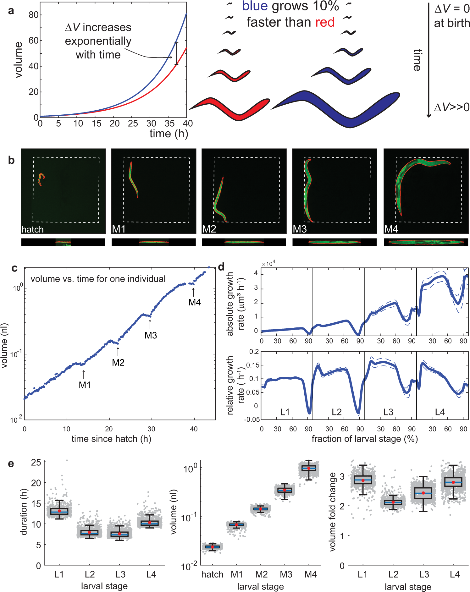 Coupling Of Growth Rate And Developmental Tempo Reduces Body Size Heterogeneity In C Elegans Nature Communications Coupling Of Growth Rate And Developmental Tempo Reduces Body Size Heterogeneity In C Elegans Nature Communications