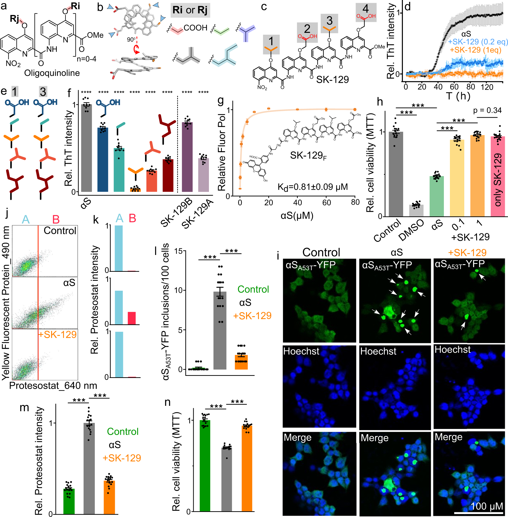 Foldamers reveal and validate therapeutic targets associated with toxic  α-synuclein self-assembly | Nature Communications