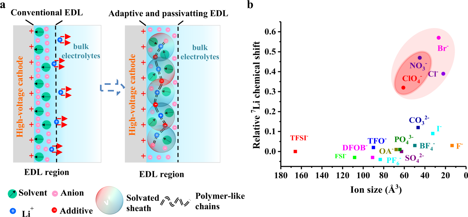 Engineering a passivating electric double layer for high performance  lithium metal batteries