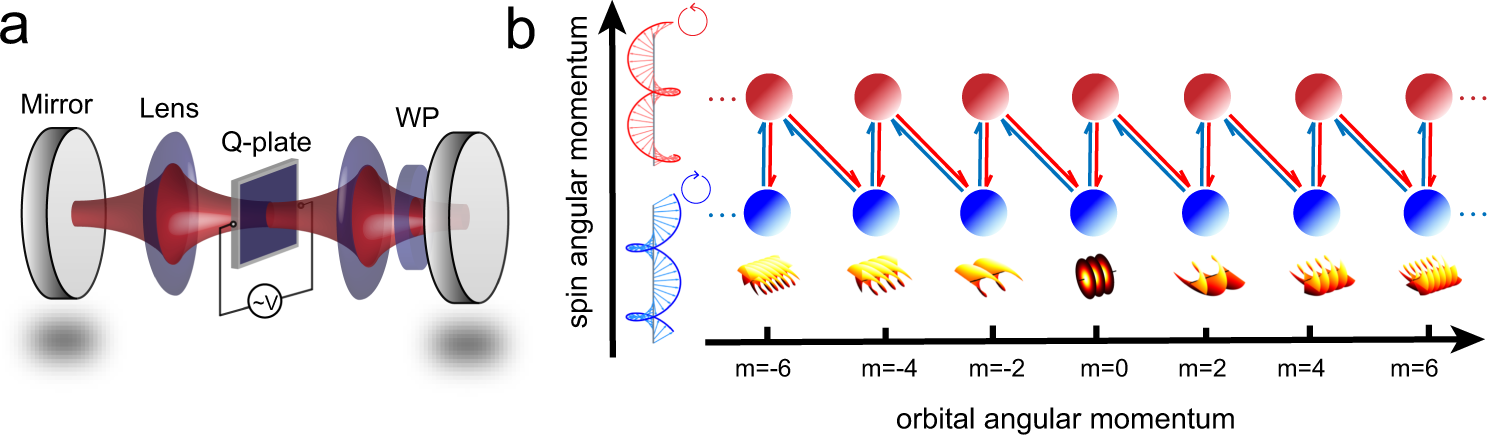 Topological Band Structure Via Twisted Photons In A Degenerate Cavity Nature Communications
