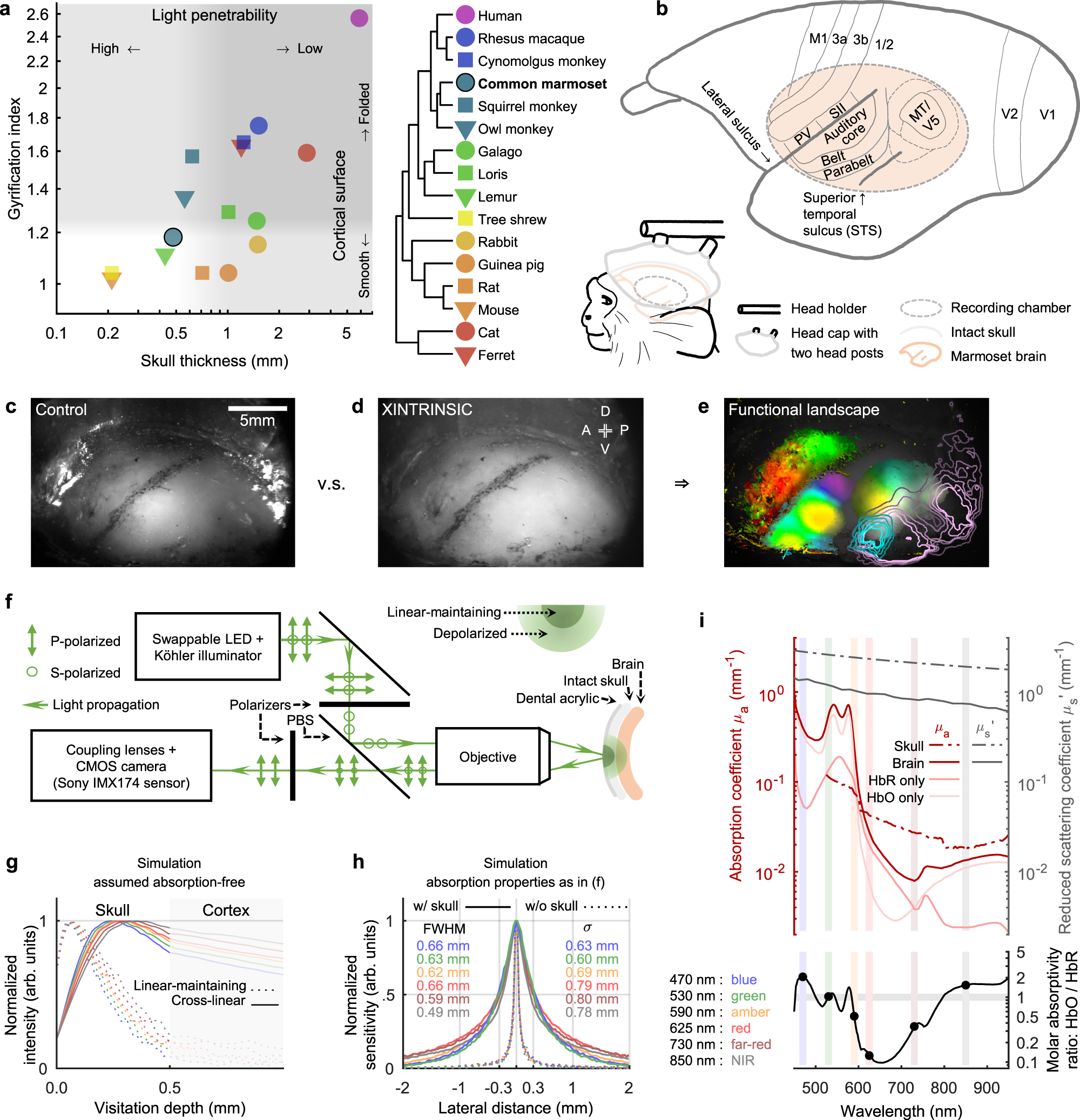 https://media.springernature.com/full/springer-static/image/art%3A10.1038%2Fs41467-022-29864-7/MediaObjects/41467_2022_29864_Fig1_HTML.png