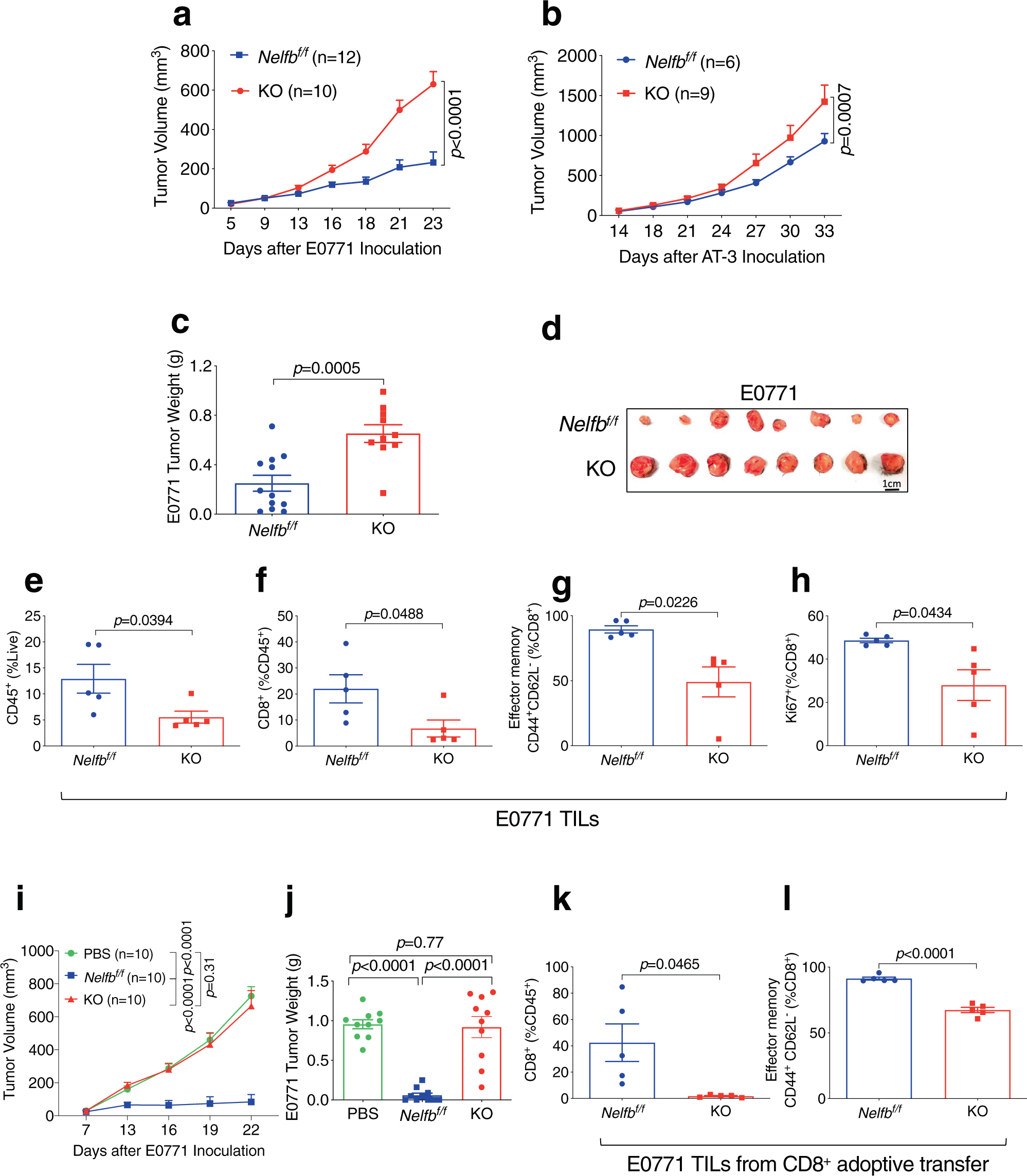 Fig. 1: Nelfb is required for CD8+ T cell-intrinsic antitumor function.