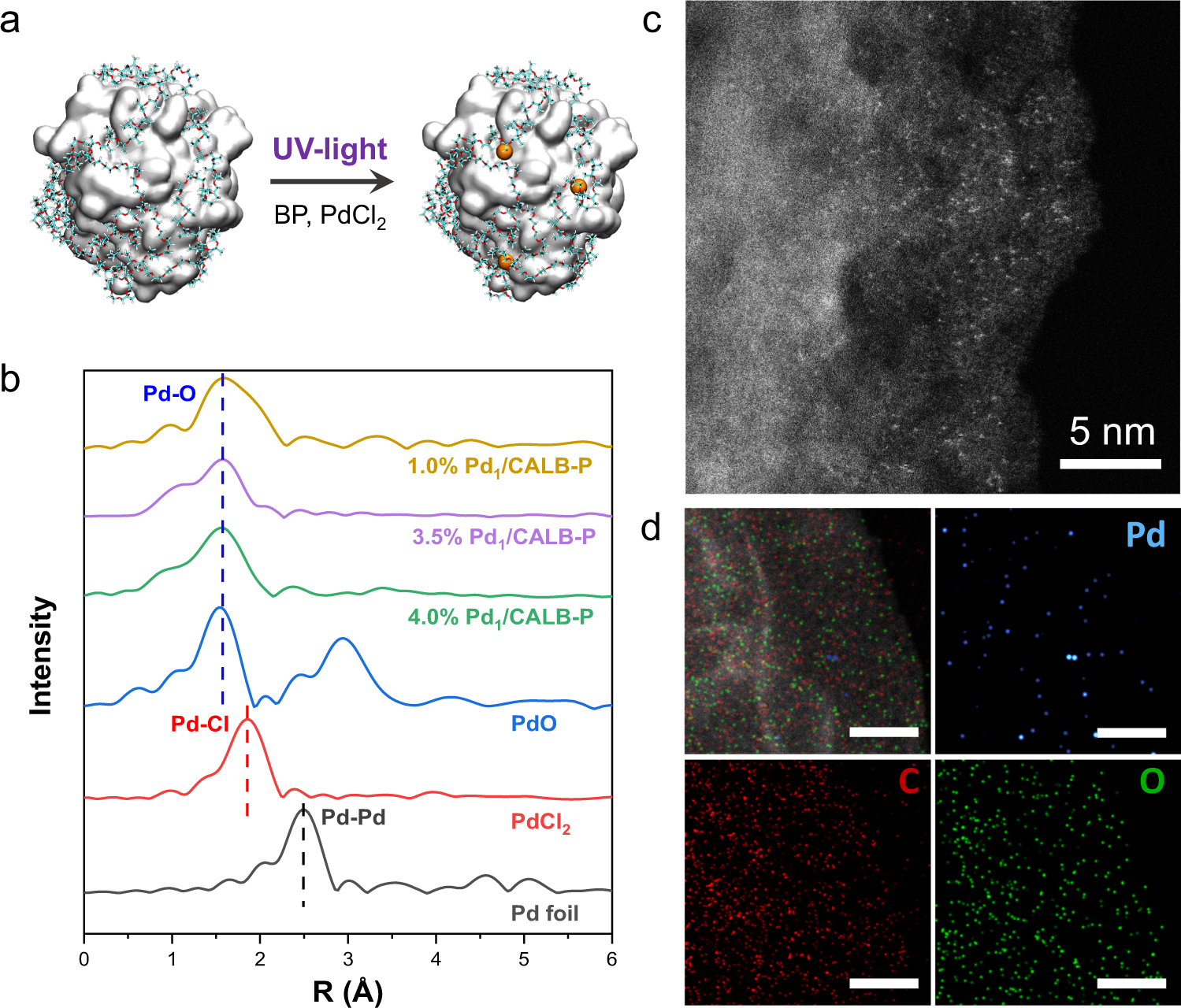 Fig. 1: Preparation and characterizations of Pd1/CALB-P.