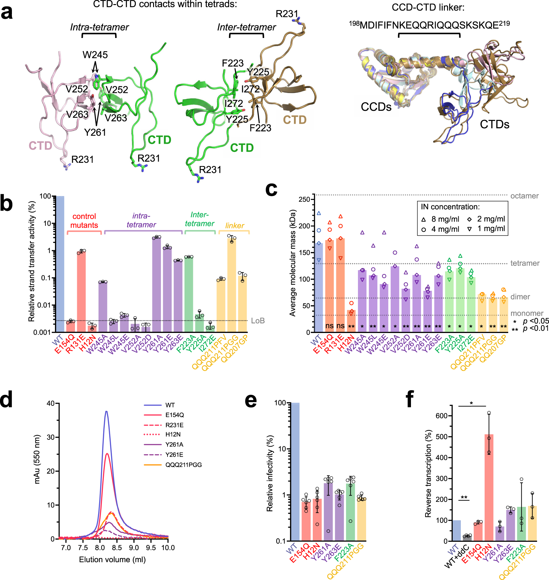 Fig. 3: Design and activities of MVV IN mutants.