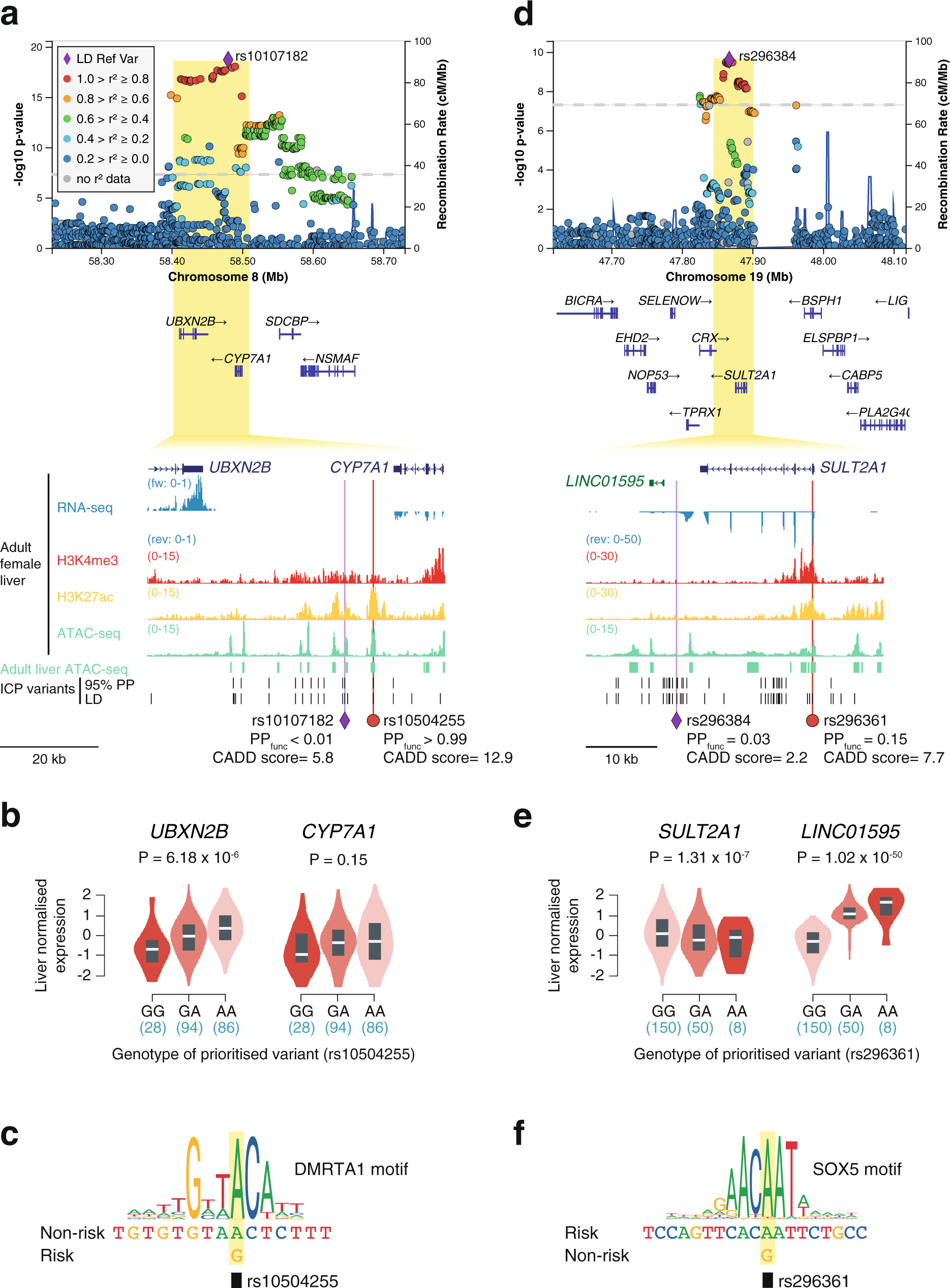 Fig. 5: GWAS meta-analysis of ICP reveals association signals affecting the bile acid homeostasis genes CYP7A1 and SULT2A1.
