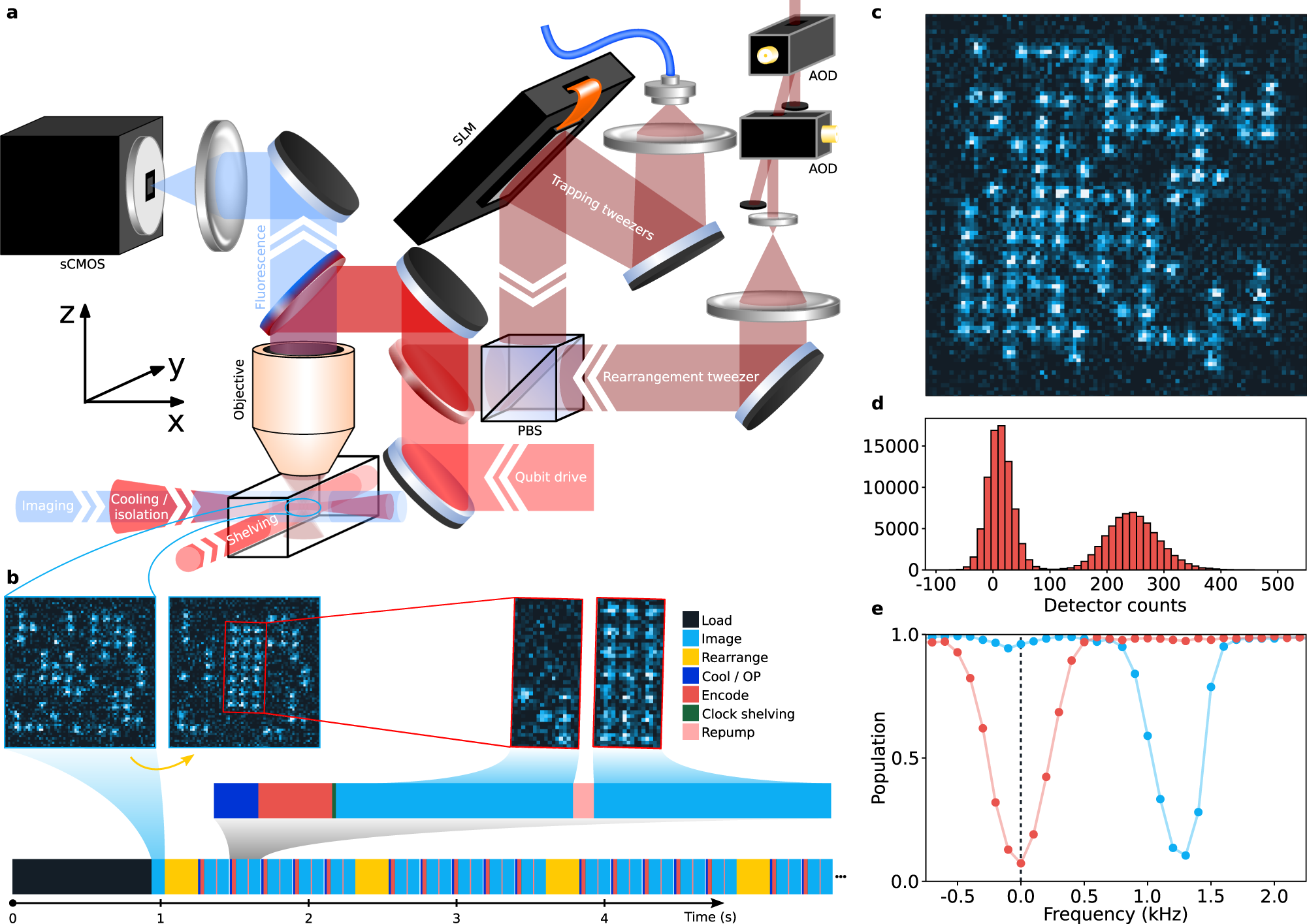 Assembly and coherent control of a register of nuclear spin qubits 