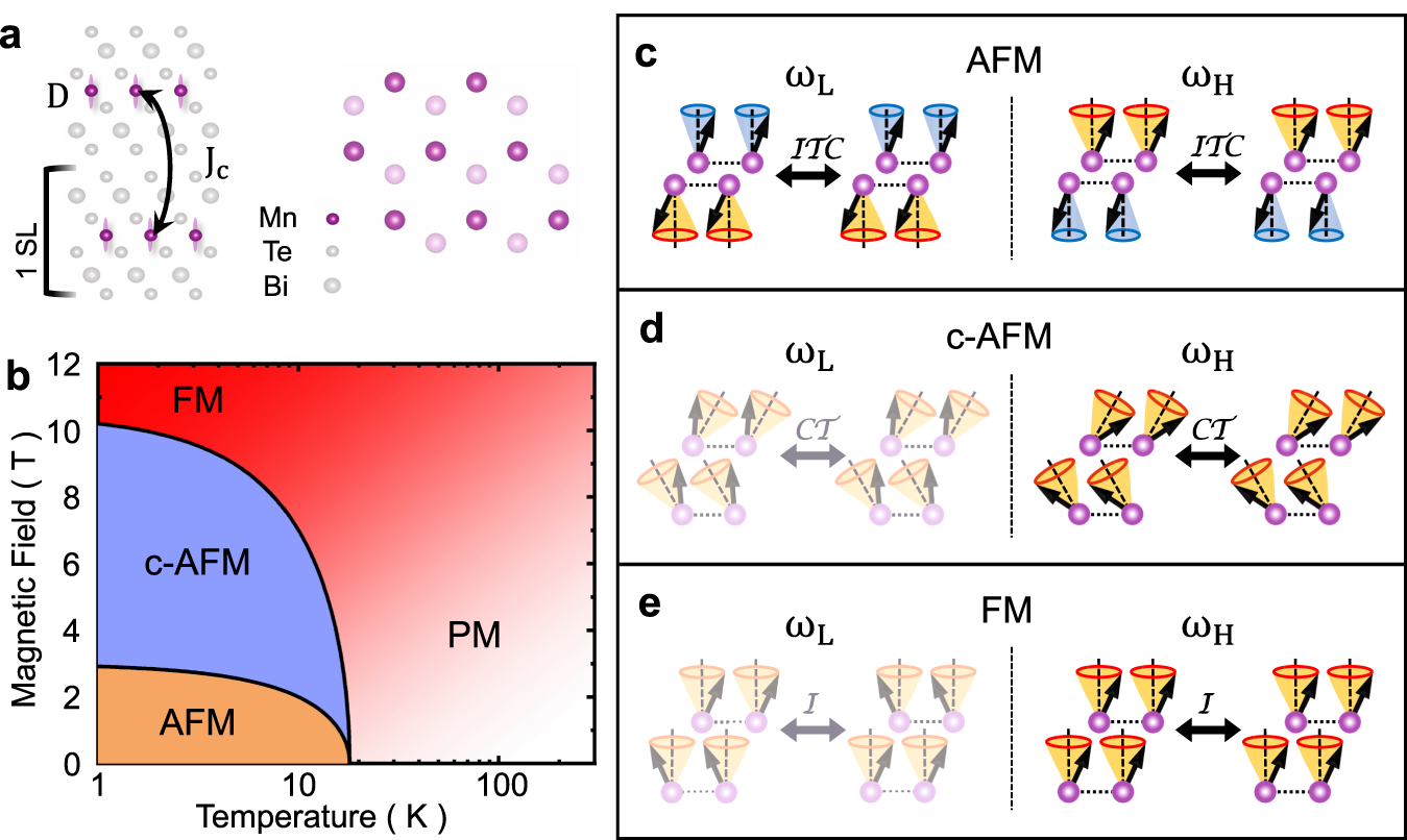 Fig. 1: Magnetic lattice, phase diagram, and magnon modes in a 2-SL MBT.