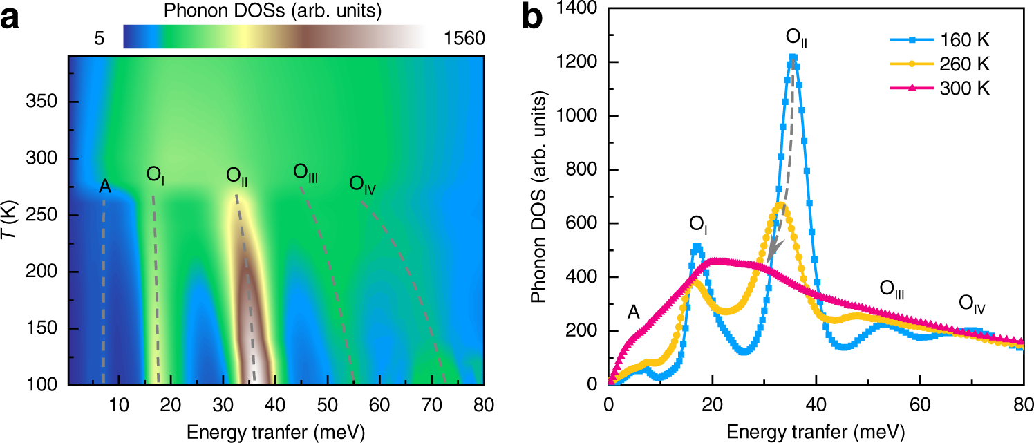 Fig. 4: Variation of lattice dynamics with temperature.