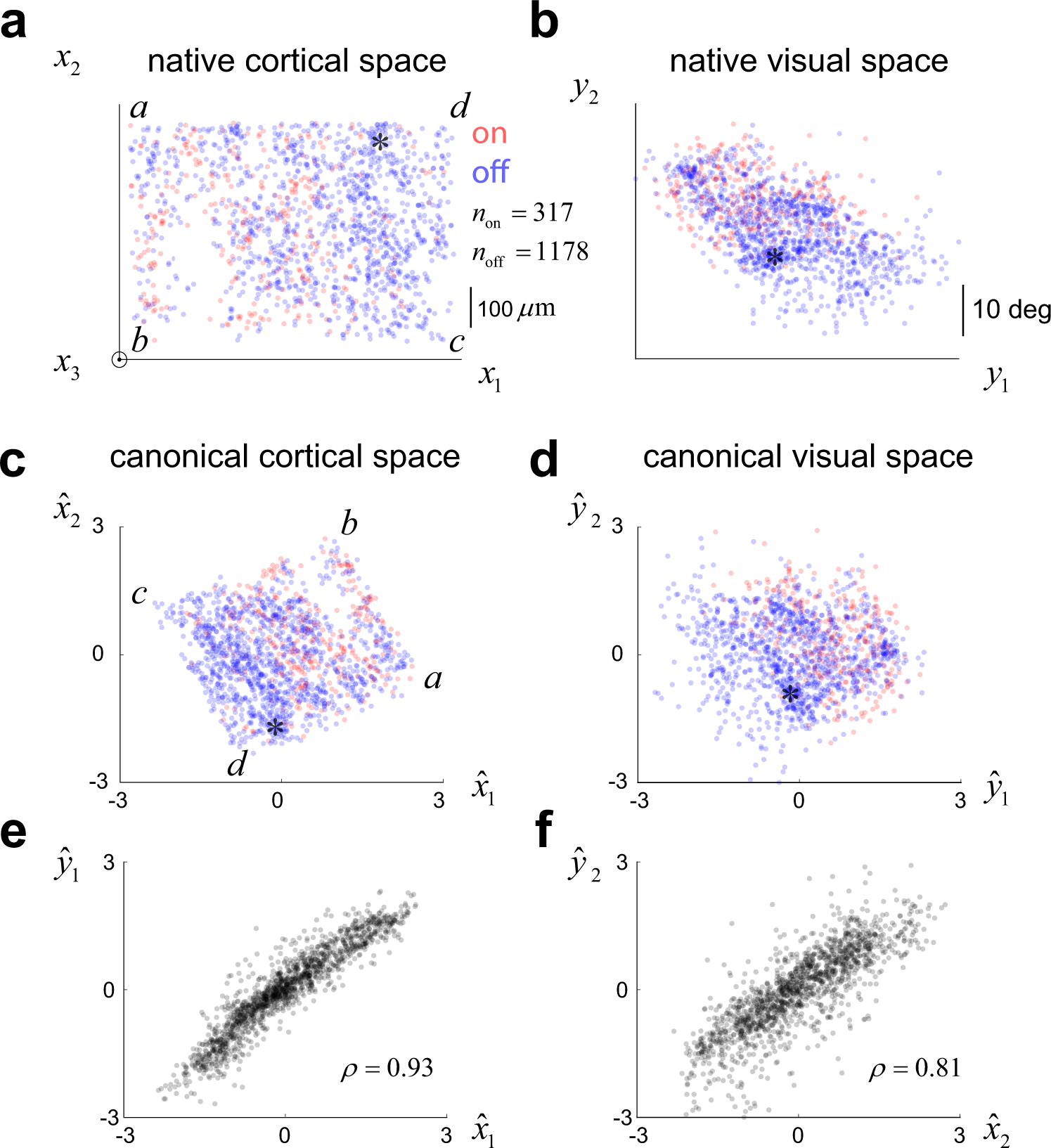 Fig. 4: Alignment of cortical and visual space via canonical correlation analysis.