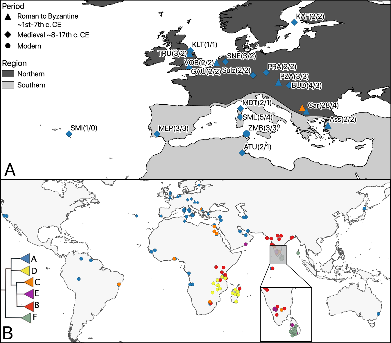 Fig. 2: Sampling sites and mitochondrial phylogeographic patterns.