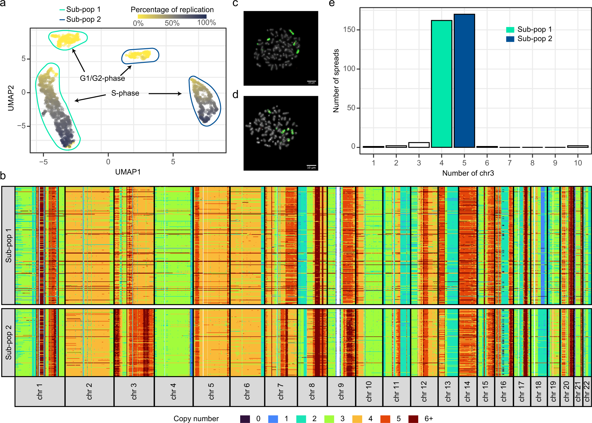 Fig. 4: Identification of two sub-populations in MCF7 cell cultures.