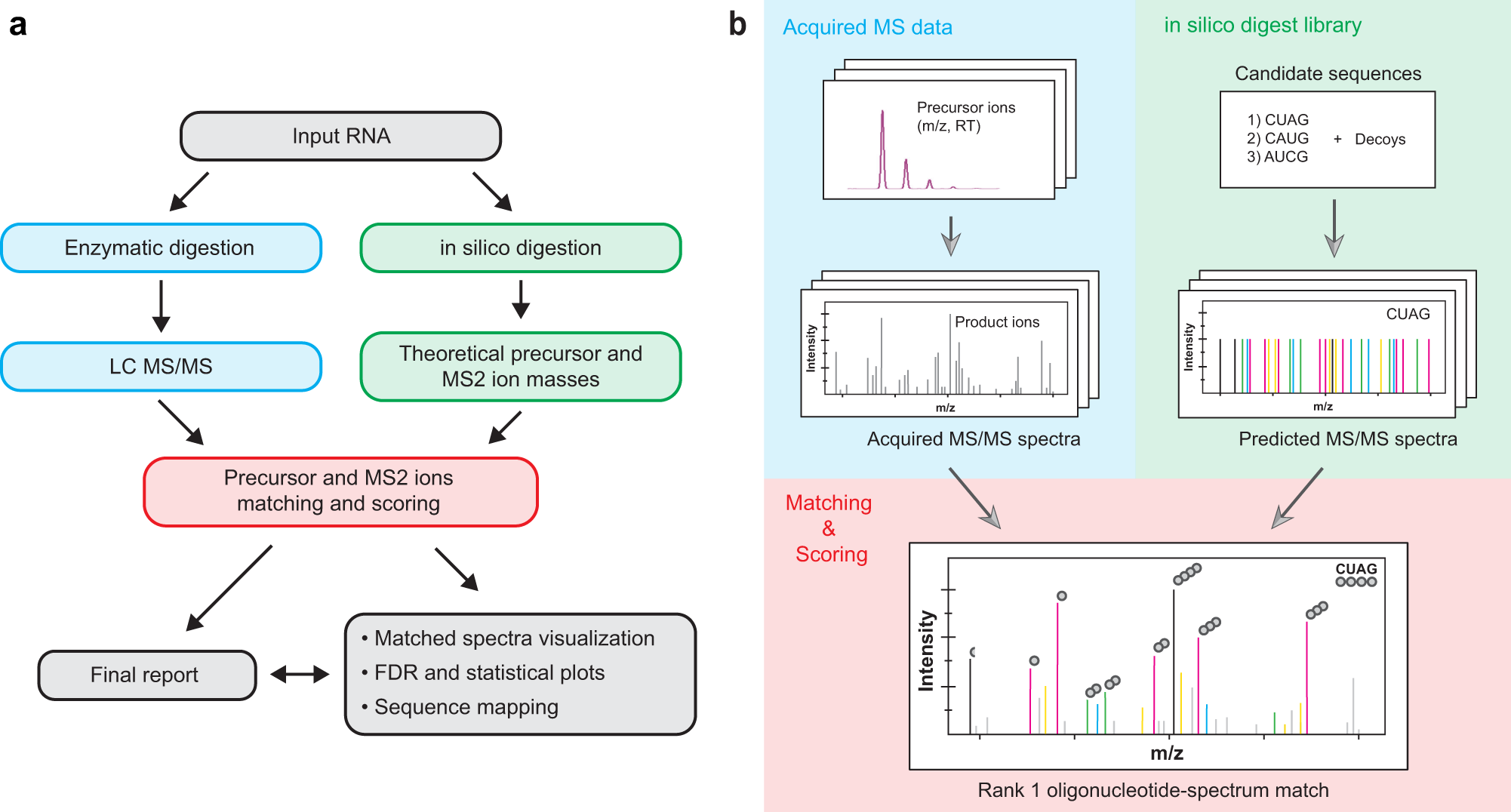 Mass Spectral Reference Libraries: An Ever-Expanding Resource for