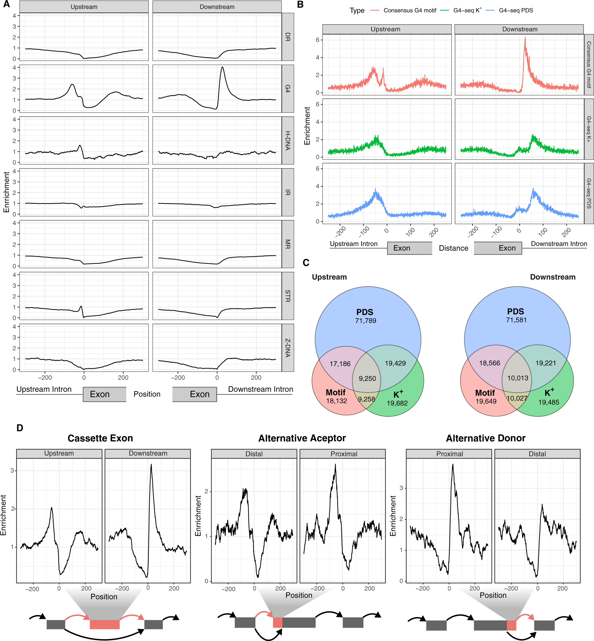 Grand average of event-related potentials recorded in the NMM, NM