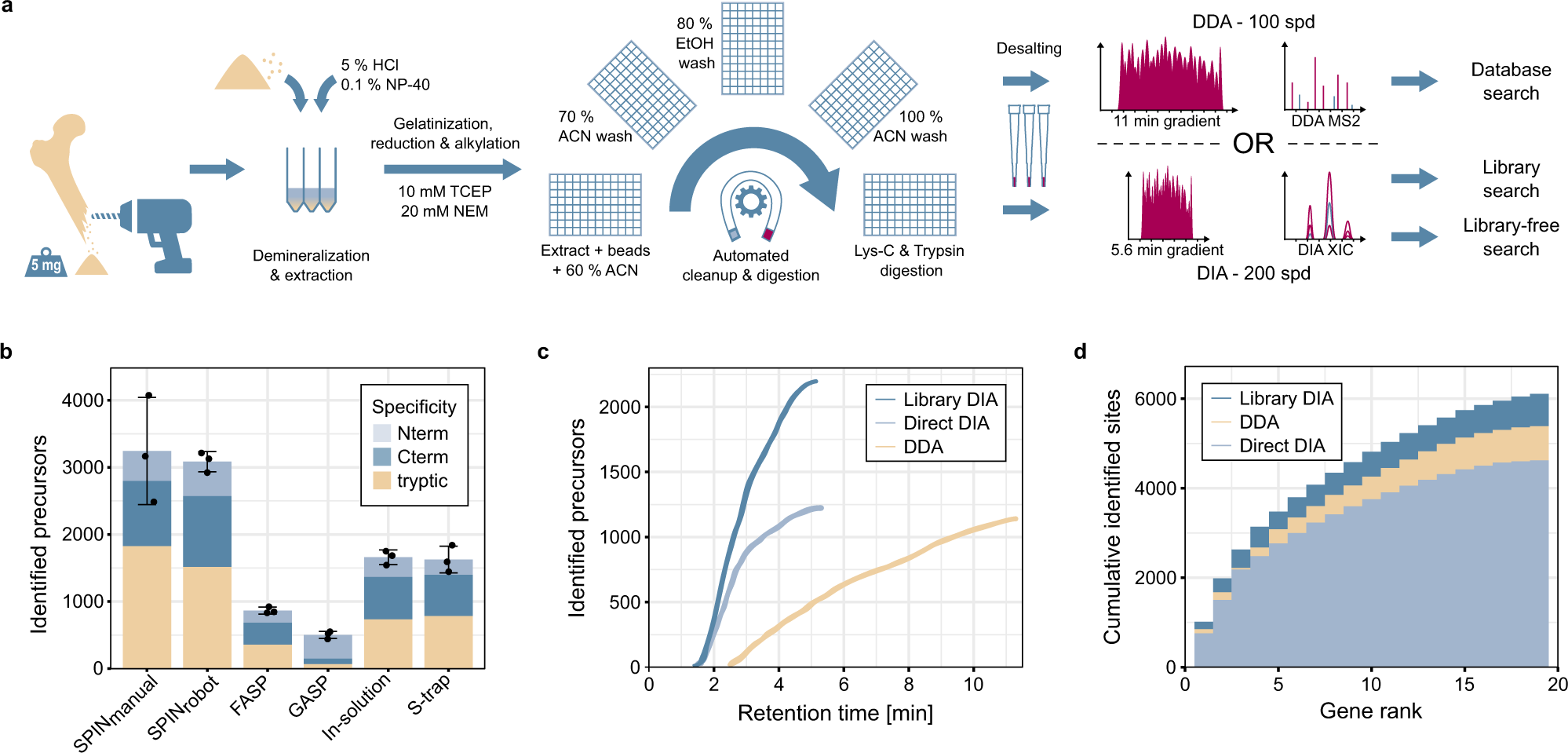 SPIN enables high throughput species identification of archaeological bone  by proteomics | Nature Communications