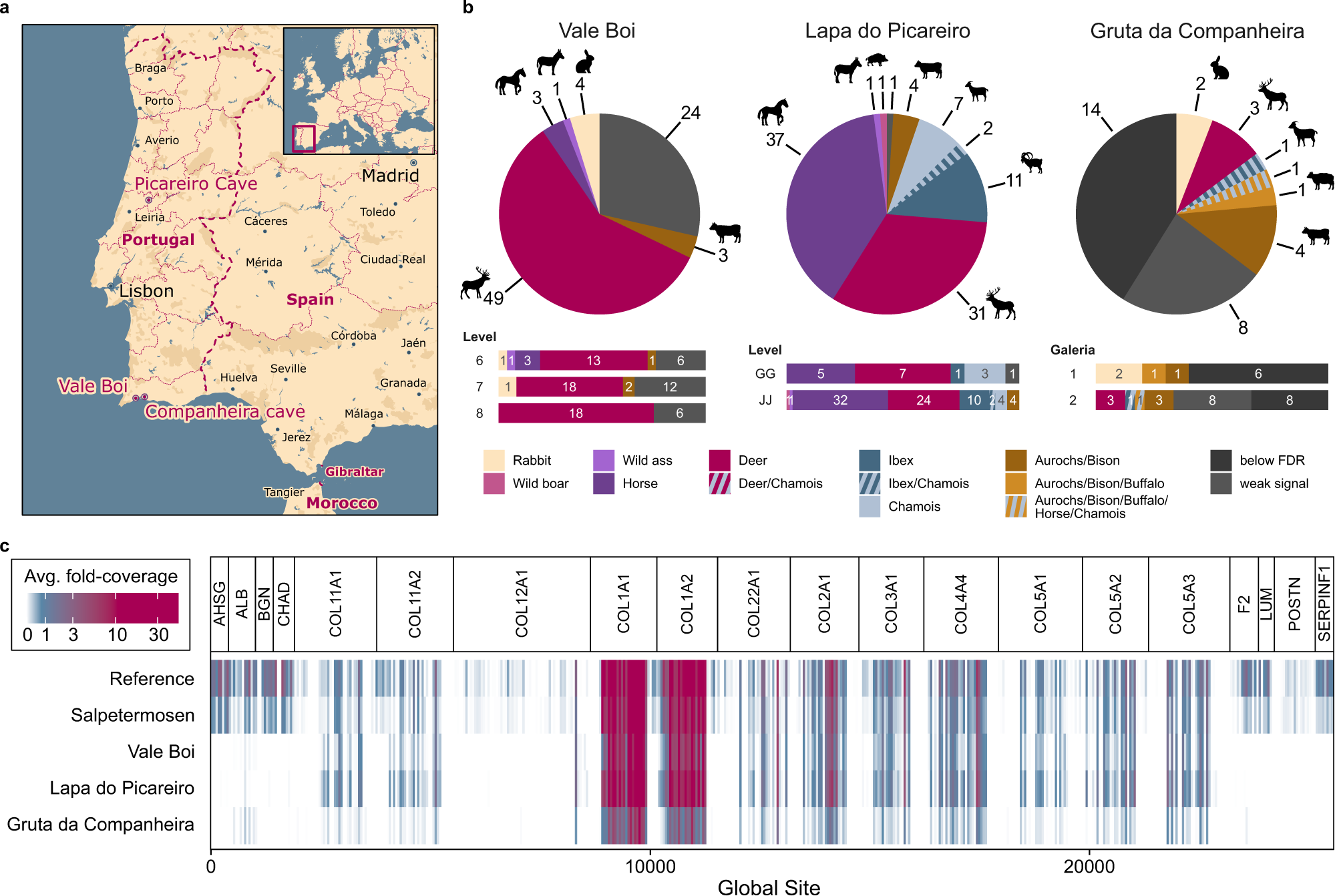 Fig. 5: Large-scale species identification at three sites with early human occupation on the Iberian peninsula.