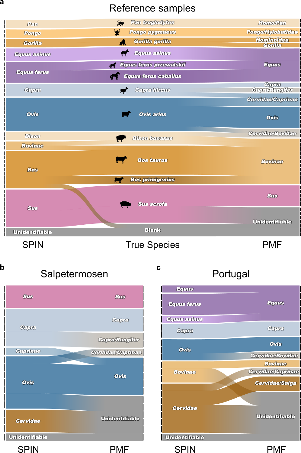 Fig. 6: Comparison of SPIN and PMF.