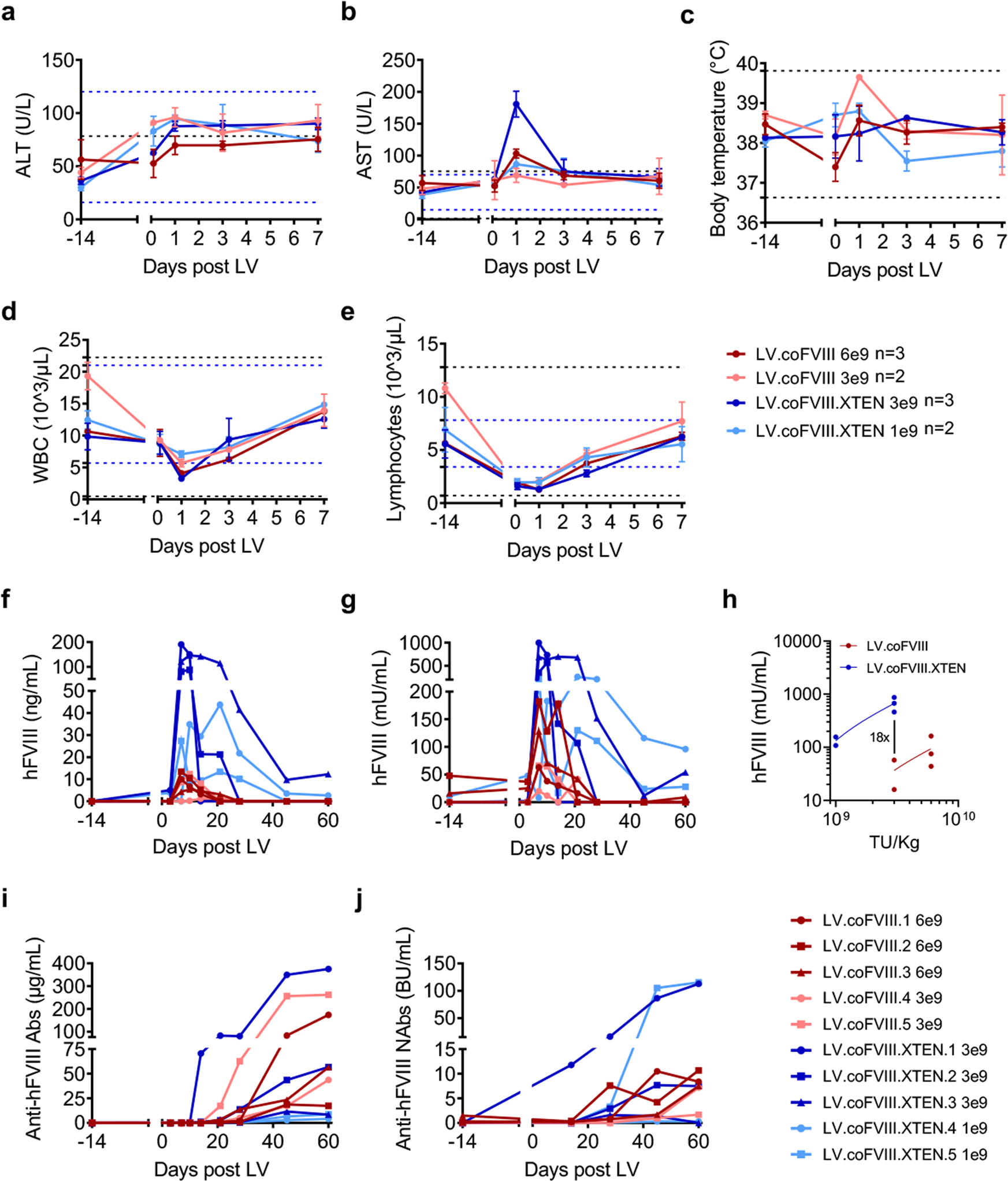 Fig. 4: Tolerability and efficacy of in vivo LV gene therapy in NHP.