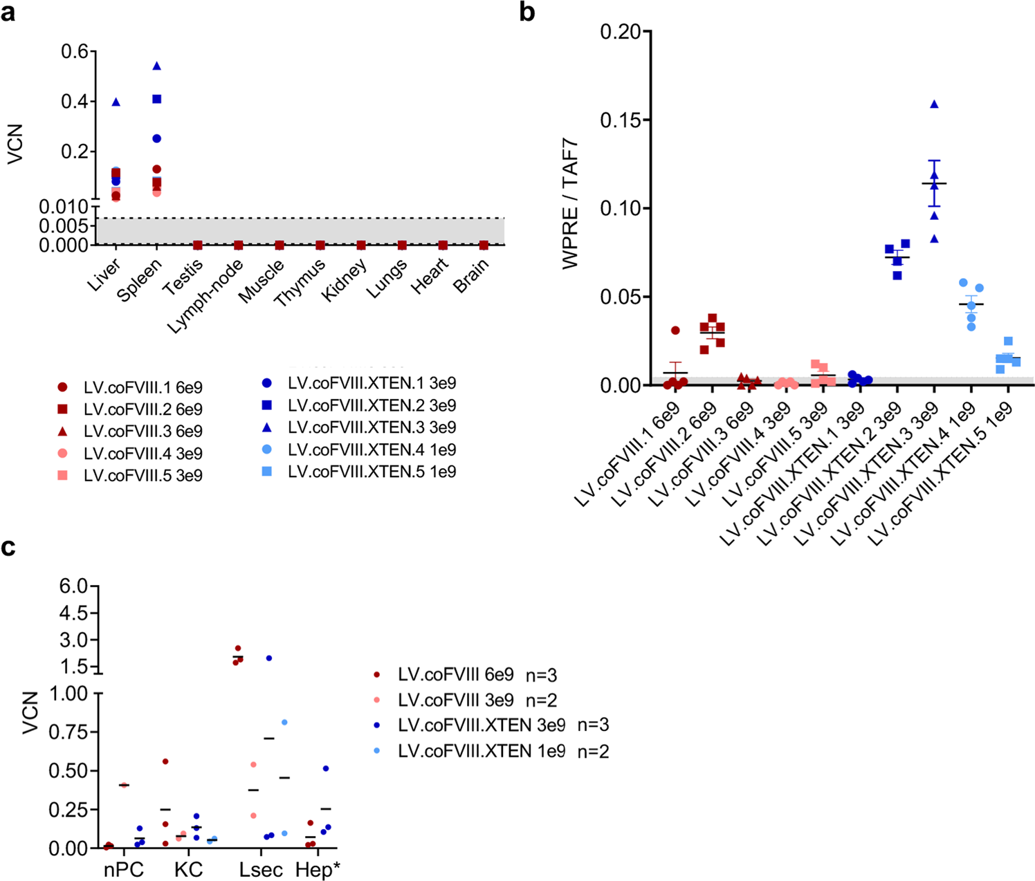 Fig. 5: LV biodistribution in treated NHP.