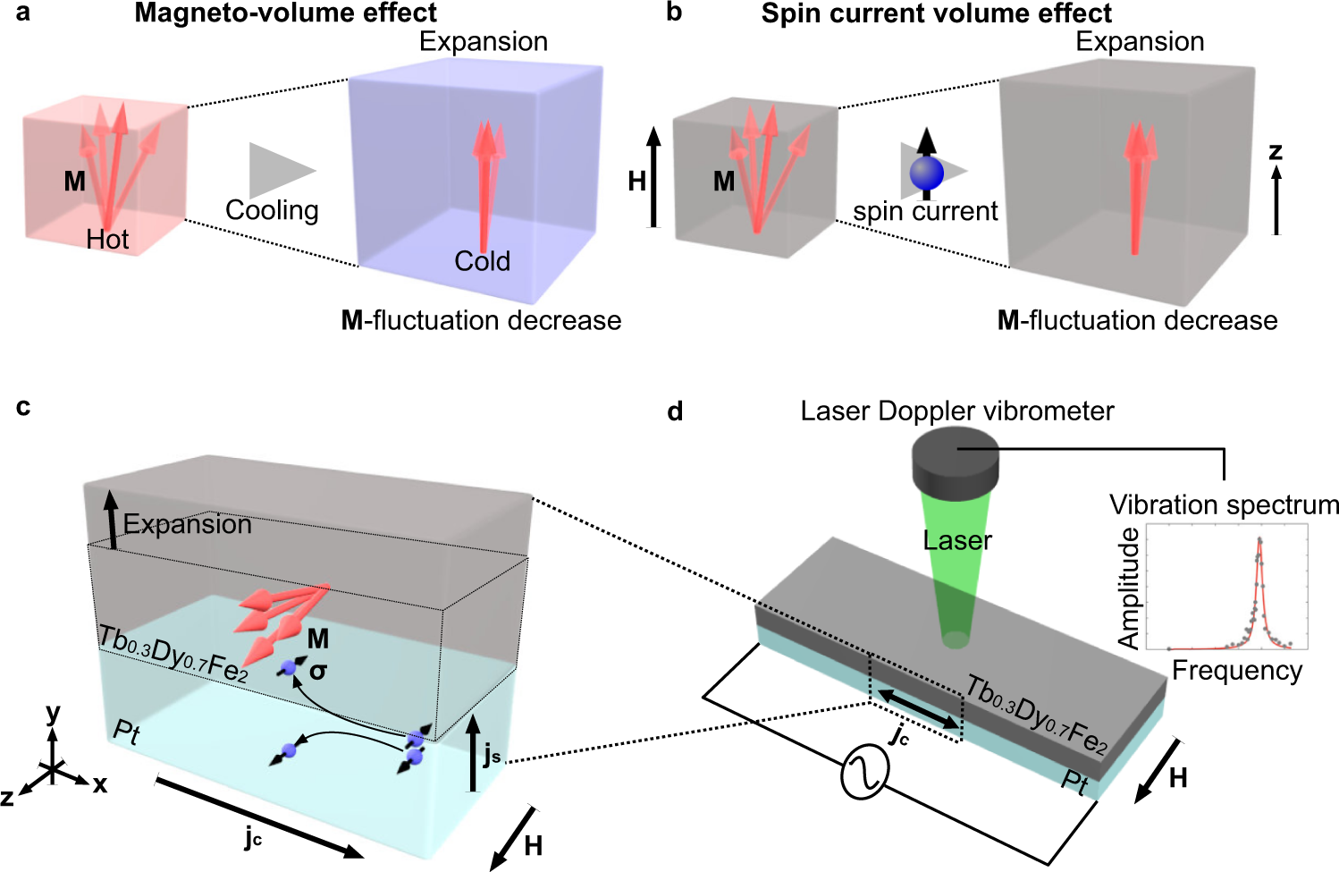 Observation of spin-current striction in a magnet | Nature Communications