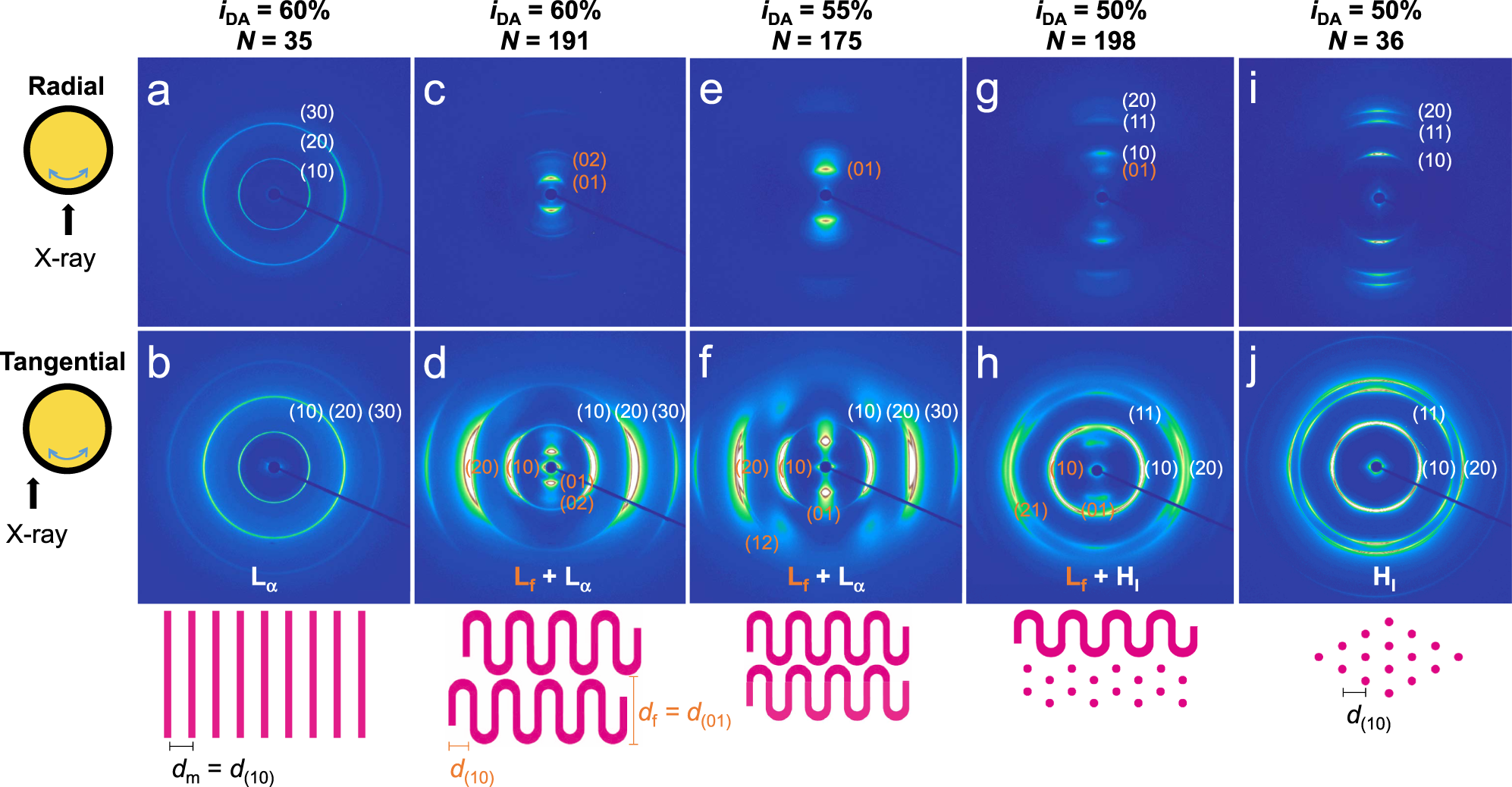 Fig. 3: 2D SAXS patterns of shear-aligned polymer solutions at 64 wt% concentration.