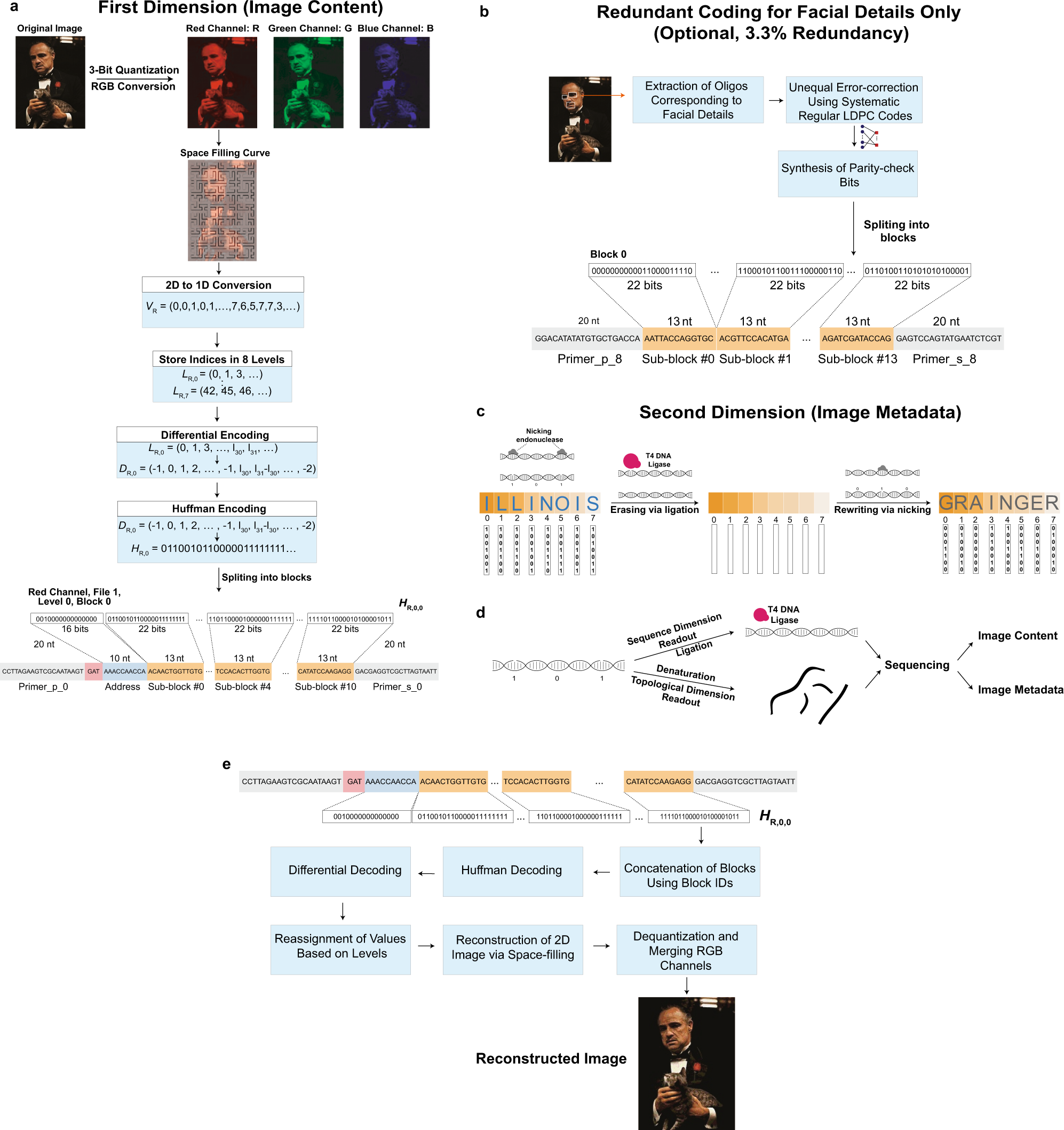Rewritable two-dimensional DNA-based data storage with machine learning  reconstruction | Nature Communications