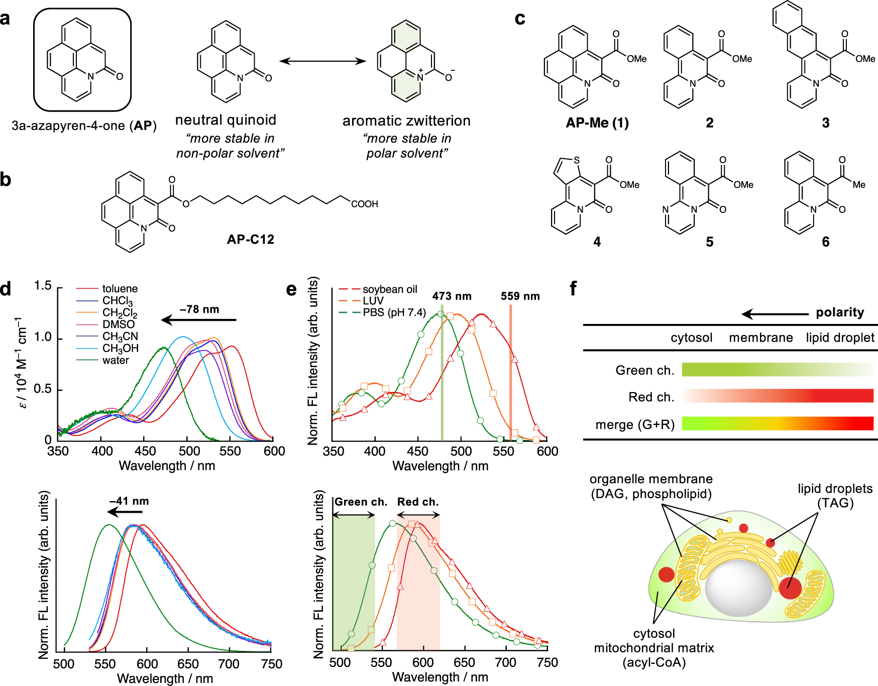 A negative-solvatochromic fluorescent probe for visualizing intracellular  distributions of fatty acid metabolites | Nature Communications