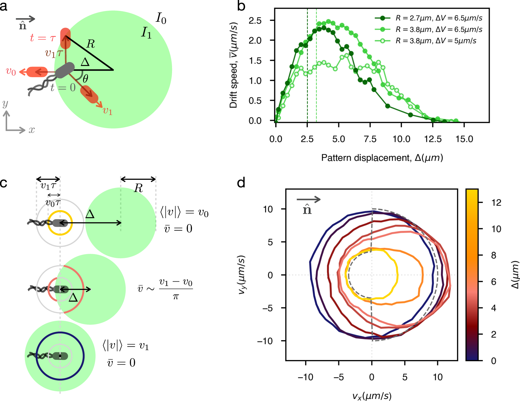 Fig. 2: Rectification.