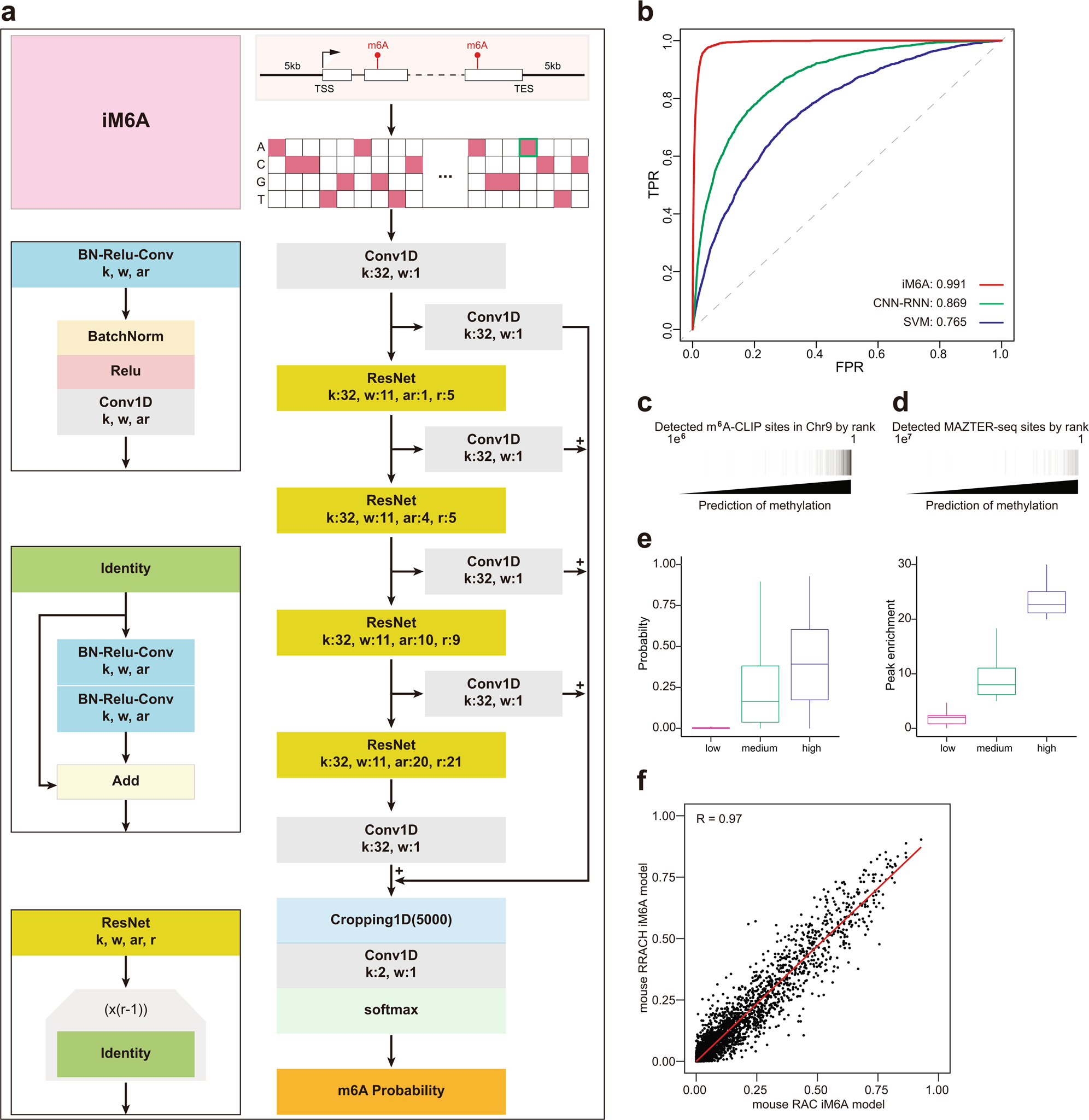 Deep Learning Modeling M6a Deposition Reveals The Importance Of Downstream Cis Element Sequences Nature Communications