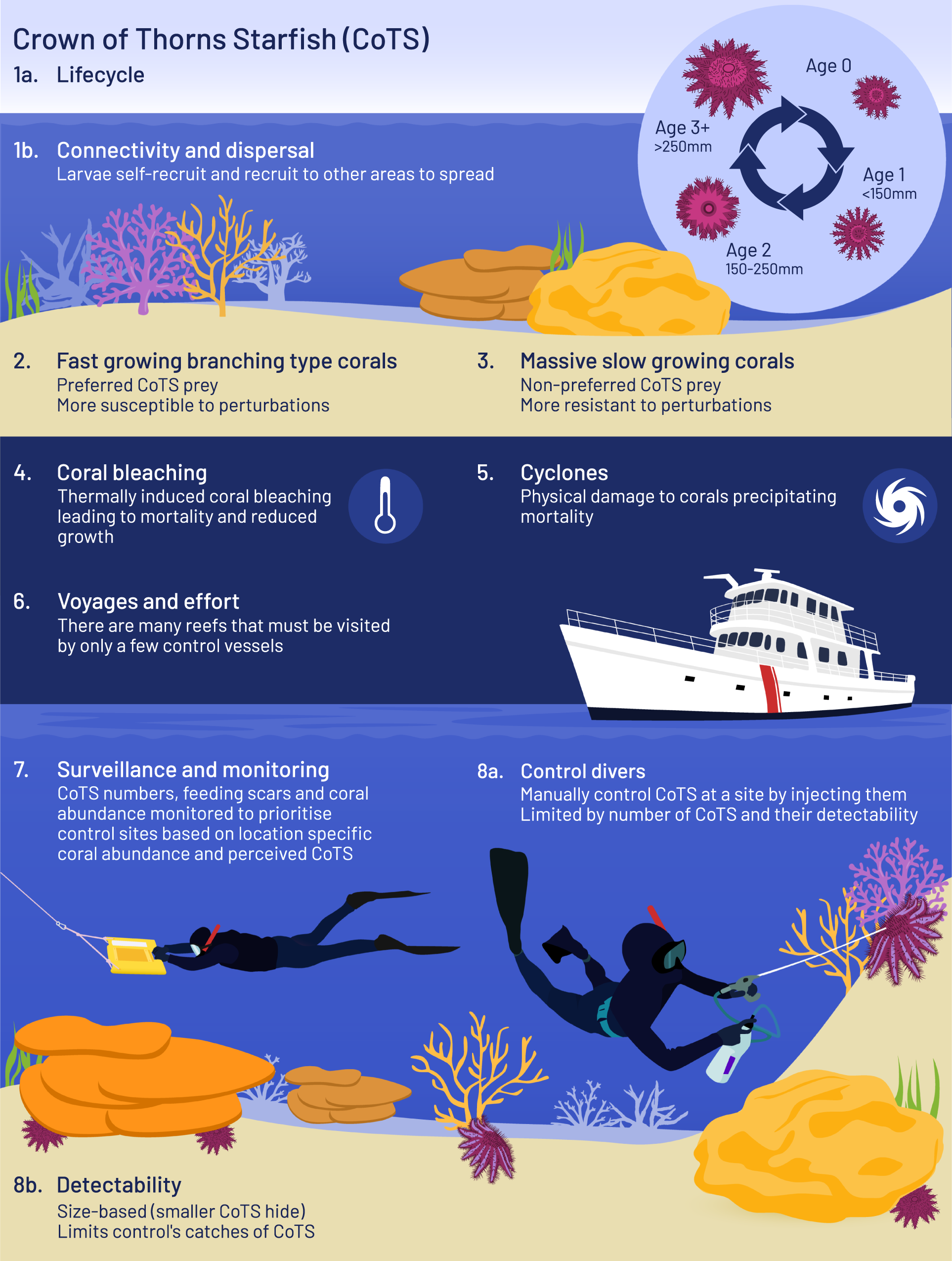Culling corallivores improves short-term coral recovery under bleaching  scenarios