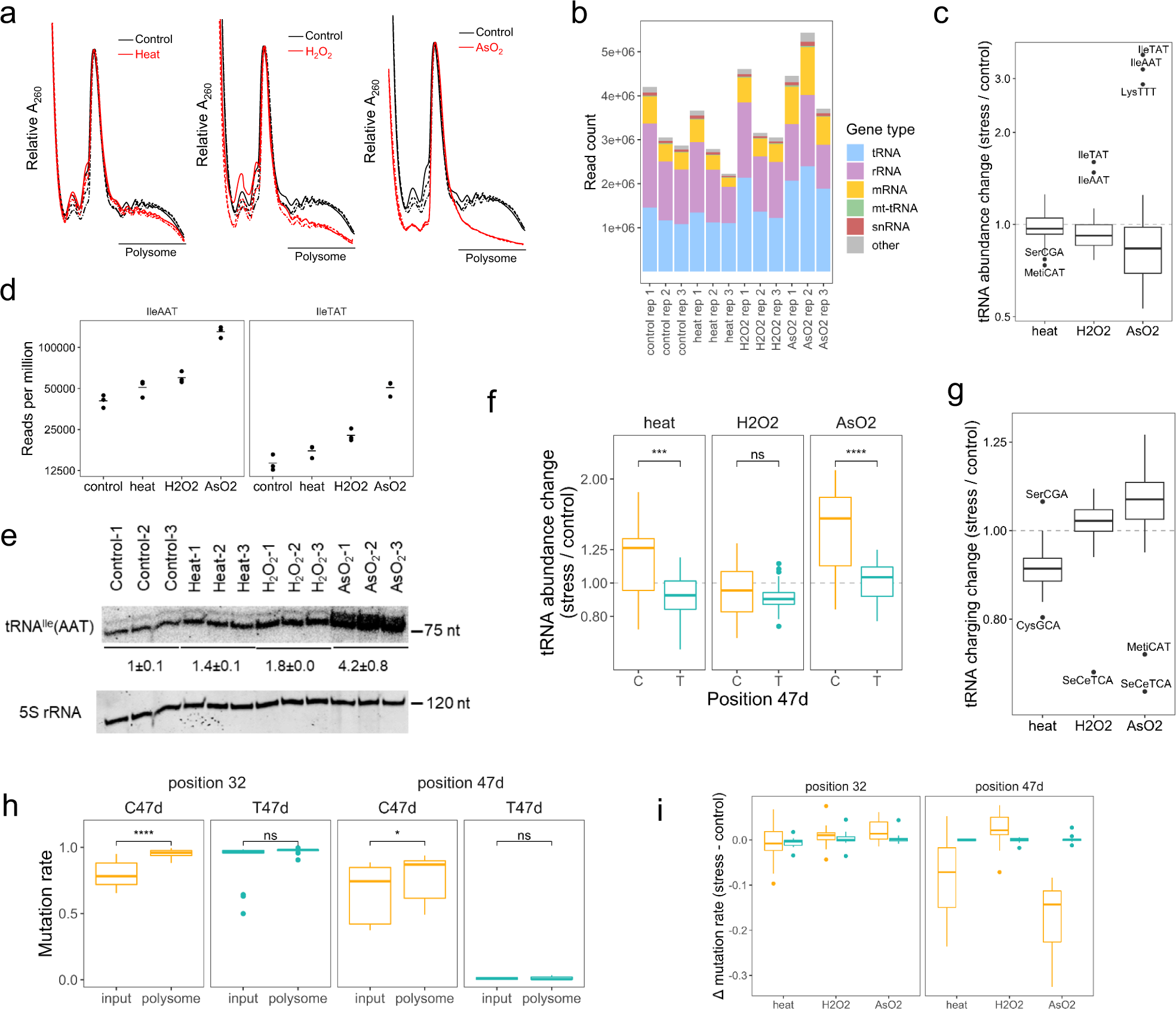 Fig. 4: tRNA analysis of polysome under stress.