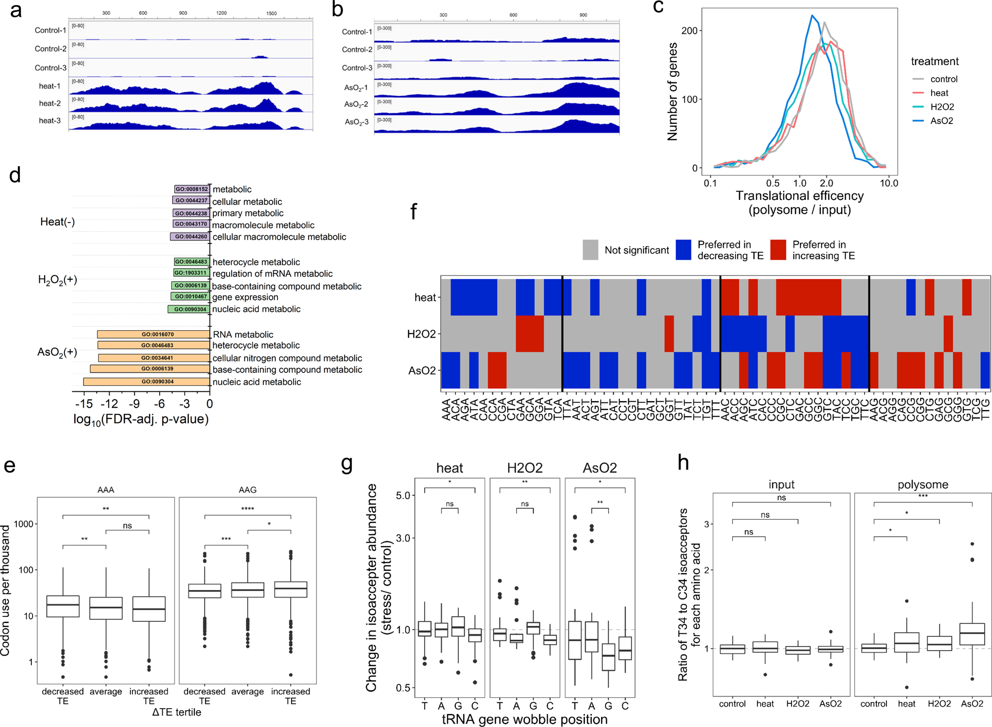 Fig. 5: mRNA analysis of total RNA and on polysome under stress.