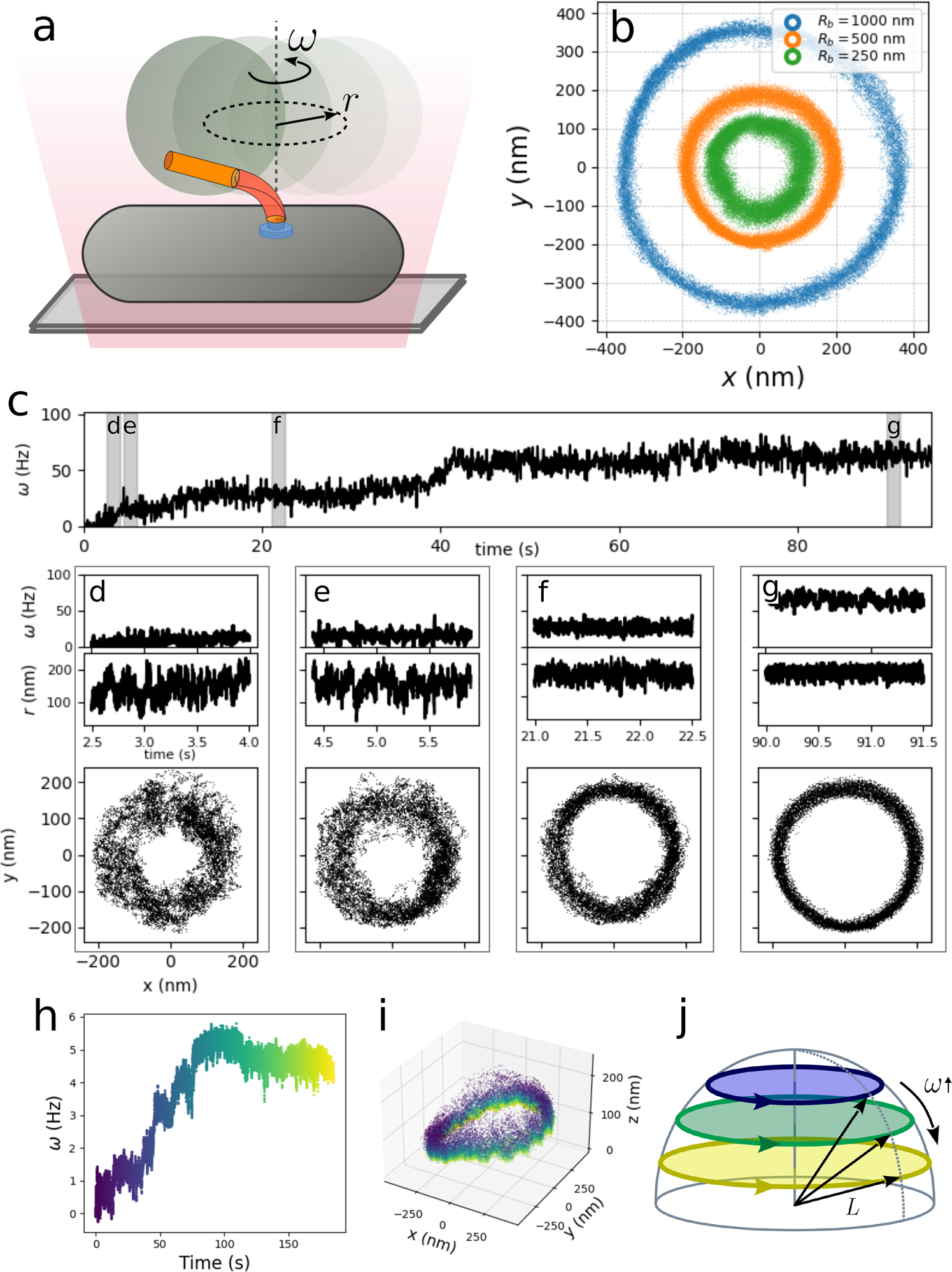 Dynamic Stiffening Of The Flagellar Hook Nature Communications Dynamic Stiffening Of The Flagellar Hook Nature Communications